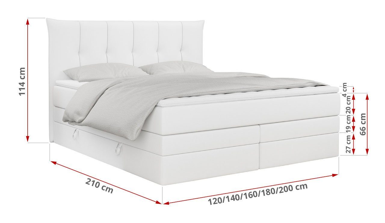 Polsterbett MKS Bettkasten und PREMIUM 10 Doppelmatratze, mit Boxspringbett KING, Zwei Matratzen MÖBEL