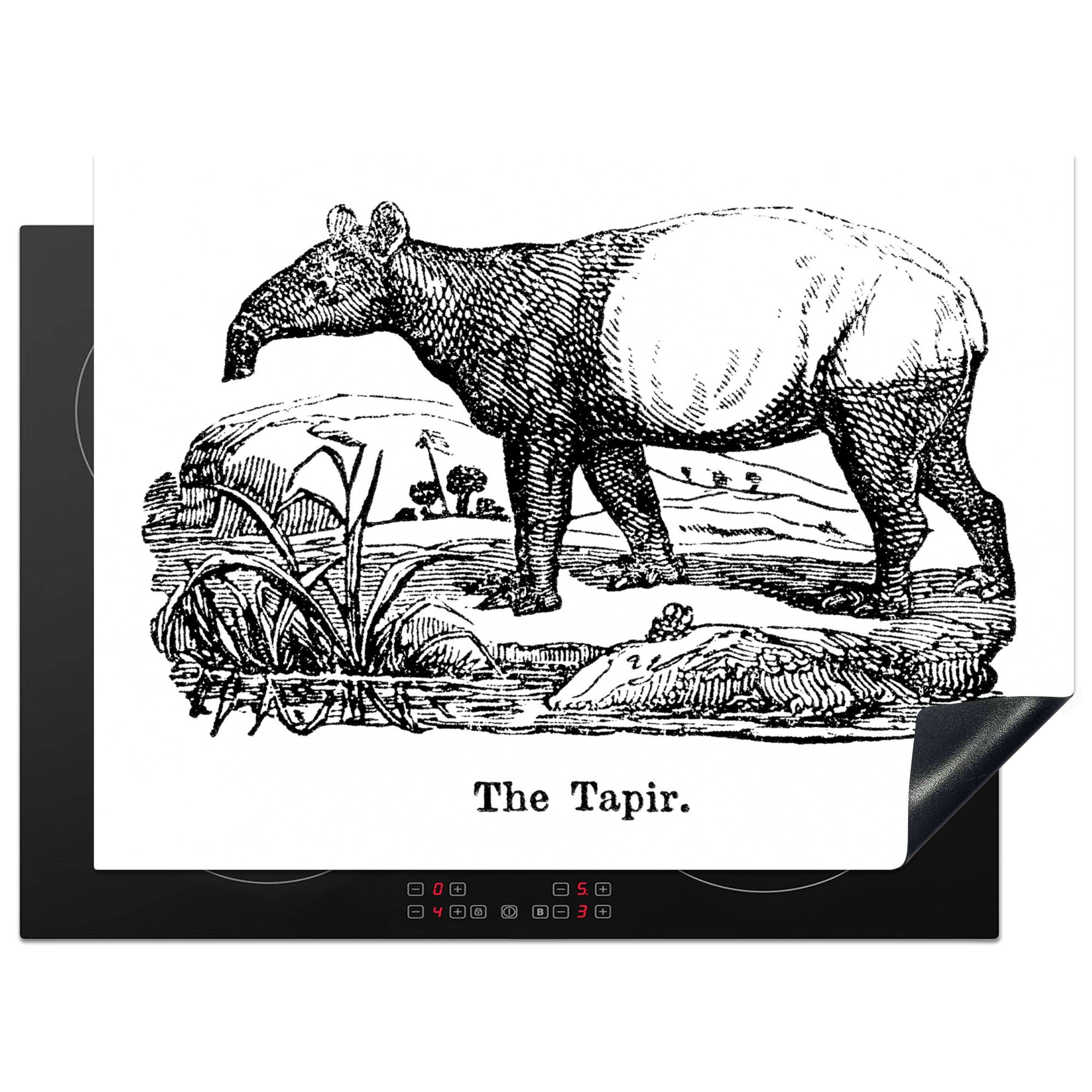 MuchoWow Herdblende-/Abdeckplatte Illustration eines Tapirs in einem Feld in schwarz-weiß, Vinyl, (1 tlg), 70x52 cm, Mobile Arbeitsfläche nutzbar, Ceranfeldabdeckung