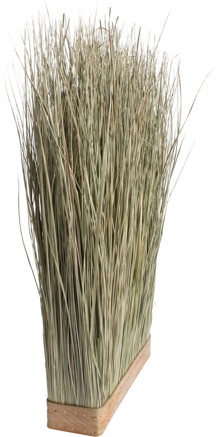 Kunstgras »Grasarrangement« Gras, Botanic-Haus, Höhe 50 cm-HomeTrends
