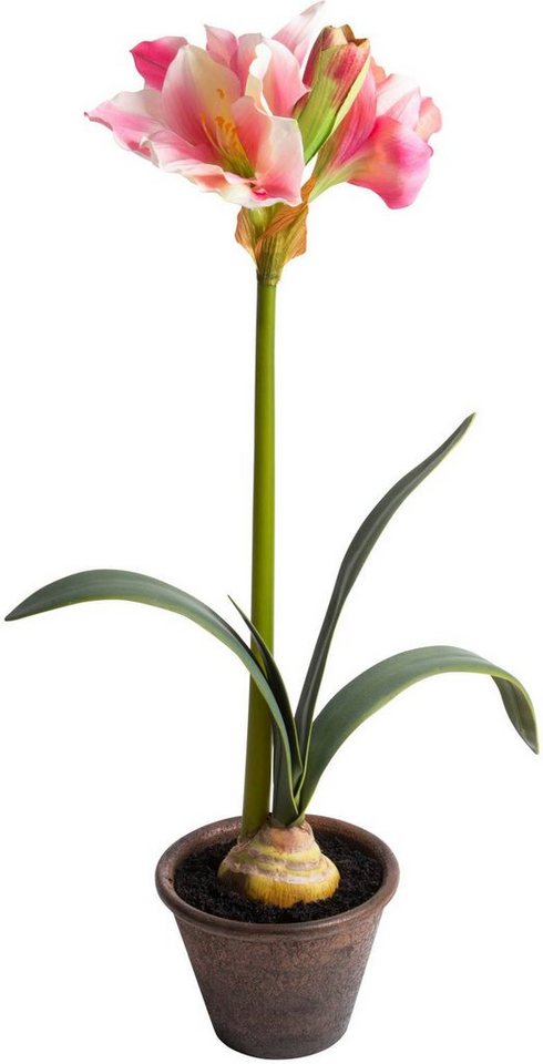 Kunstblume Amaryllis im braunen Kunststofftopf, Botanic-Haus, Höhe 69 cm,  Naturgetreue Kunstpflanze