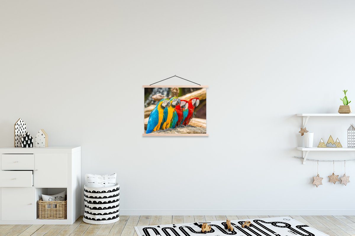 MuchoWow Poster Vögel - Papagei - Tropisch - Natur, (1 St), Posterleiste, Textilposter für Wohnzimmer, Bilderleiste, Magnetisch