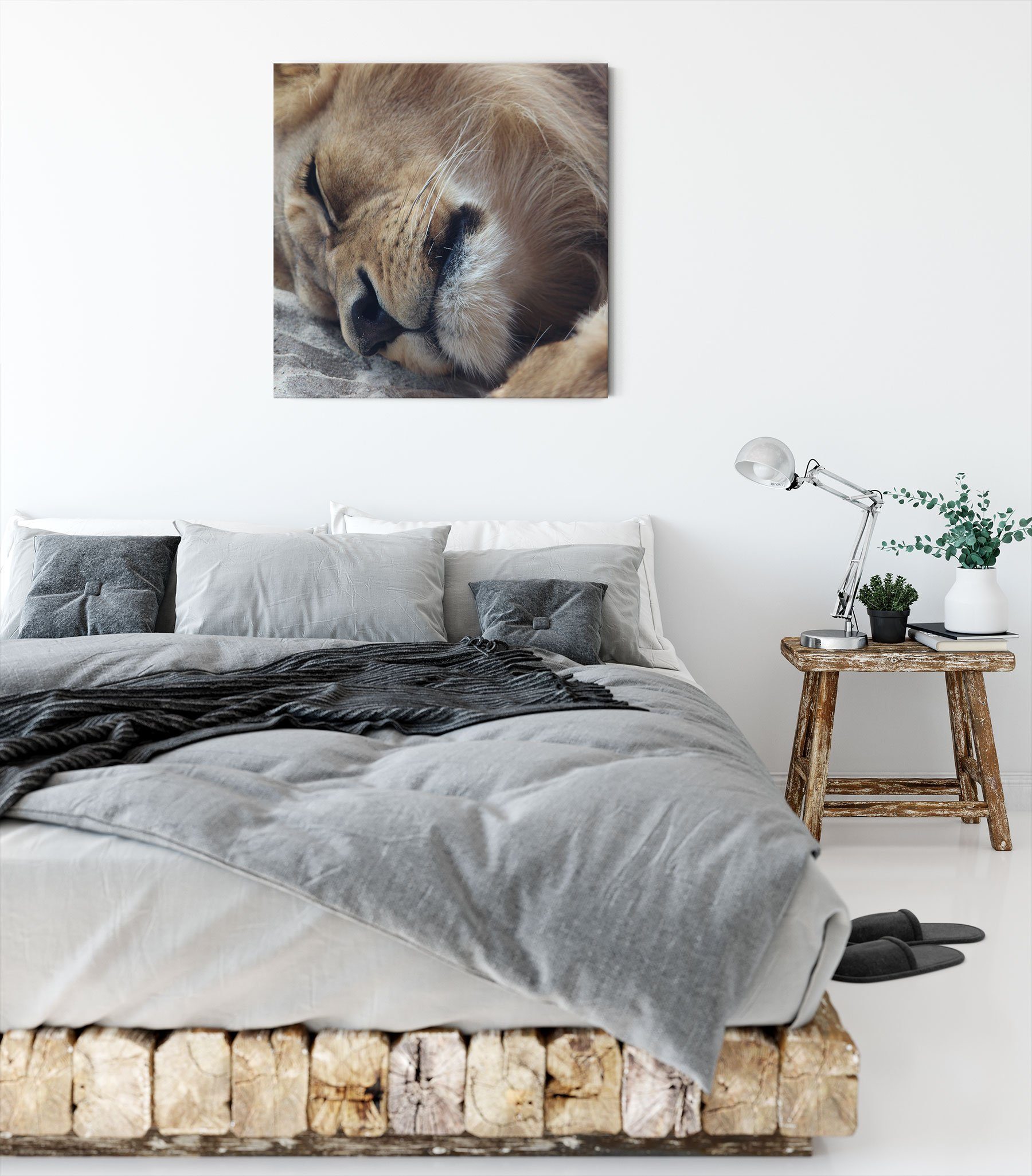 fertig (1 St), inkl. Zackenaufhänger bespannt, Löwe, Pixxprint schlafender Leinwandbild schlafender Leinwandbild Löwe