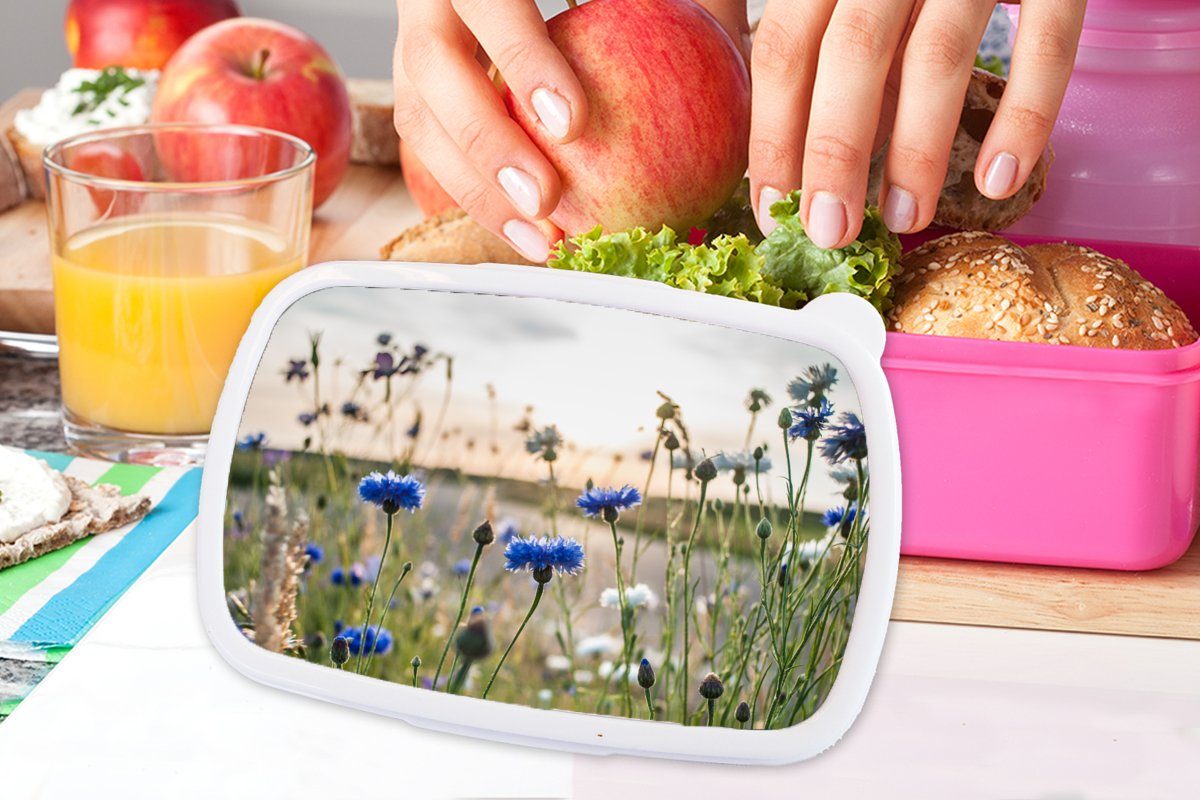 Sommer Sonne - Kornblume - Blau für Kunststoff, - Lunchbox MuchoWow Kinder, Brotbox Wolken, Brotdose (2-tlg), - Snackbox, Blumen - Erwachsene, rosa Mädchen, Kunststoff