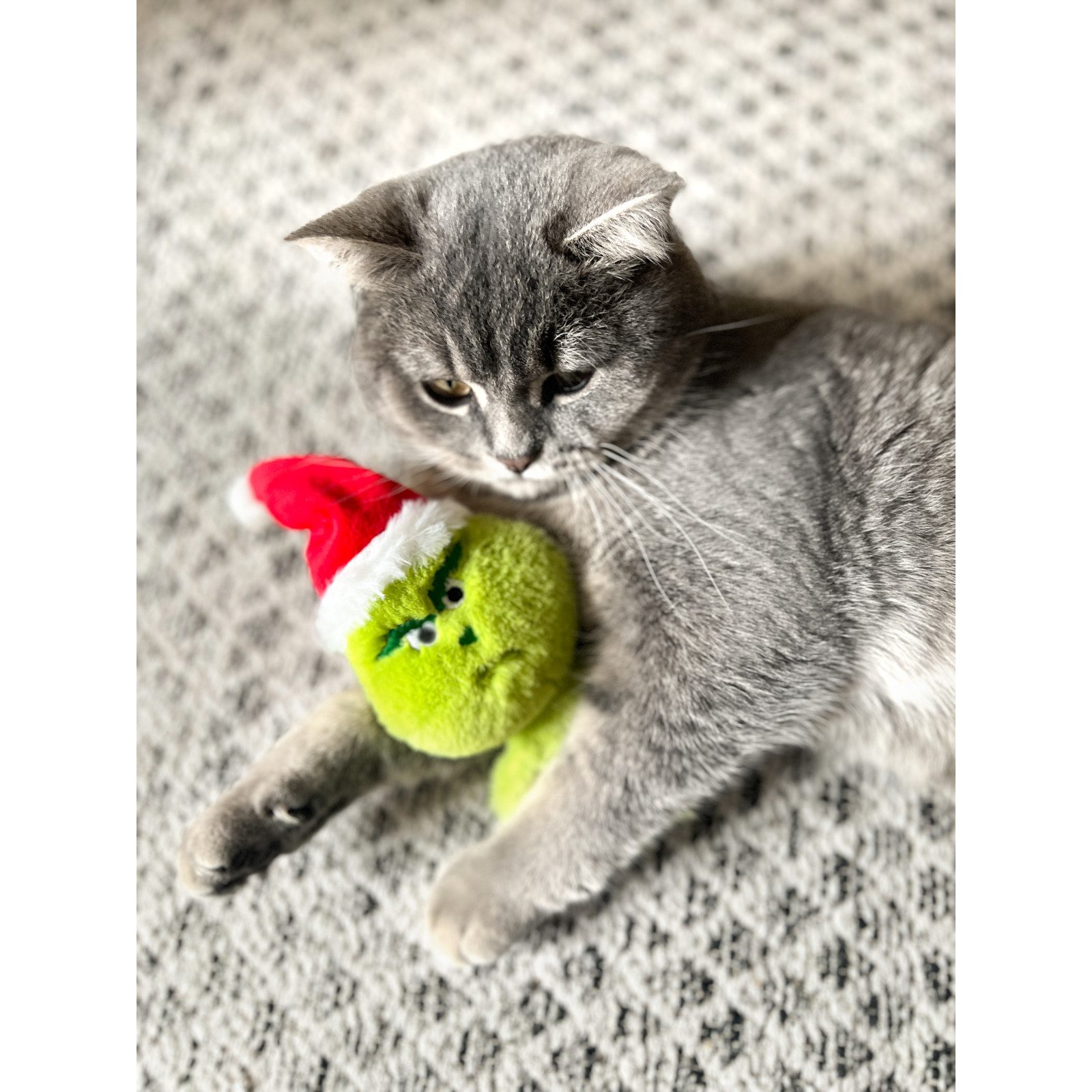 Aumüller Tierkuscheltier Minze Muffel mit Weihnachtsmütze, Katzenspielzeug mit Katzenminze