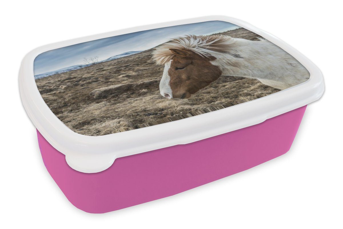 MuchoWow Lunchbox Porträt eines braunen und weißen Islandpferdes, Kunststoff, (2-tlg), Brotbox für Erwachsene, Brotdose Kinder, Snackbox, Mädchen, Kunststoff rosa