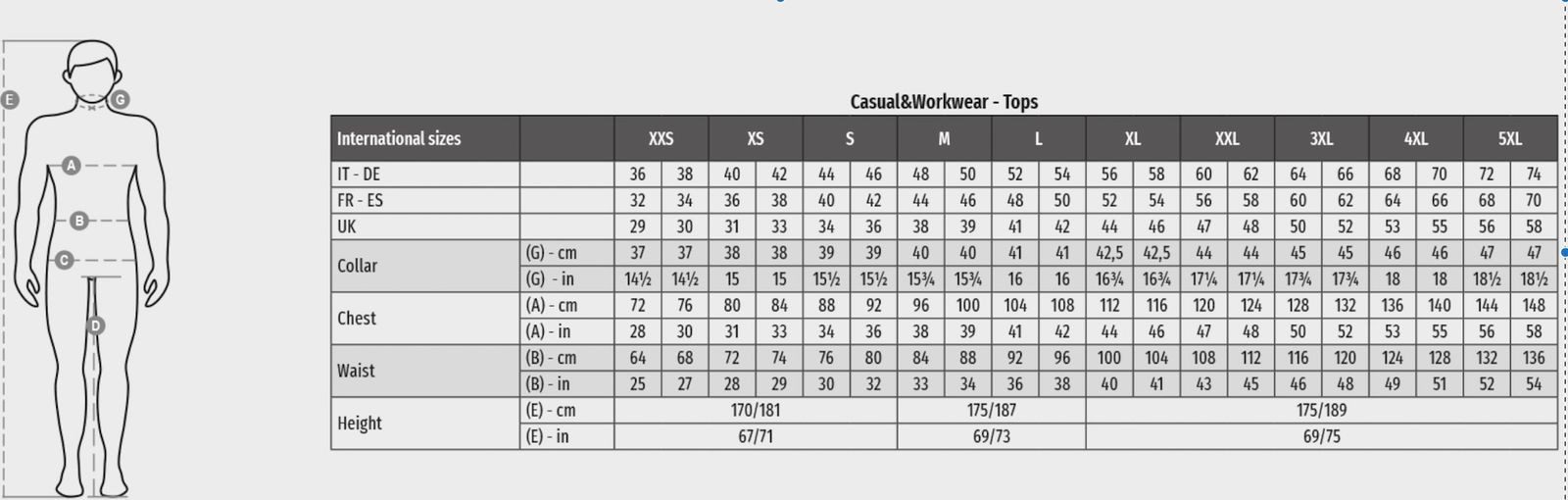 PAYPER T-Shirt PAYPER Herren T-Shirt Rundhalsausschnitt Party SOUND Shirt modernes Fashion Shirt in Größe S bis 3XL, stylisch und trendbewusst