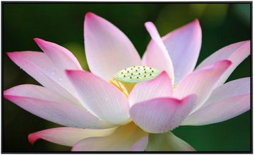 Papermoon Infrarotheizung Lotus Blume, sehr angenehme Strahlungswärme