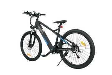 Onesport E-Bike Electric Bike-10 Ah Batterie