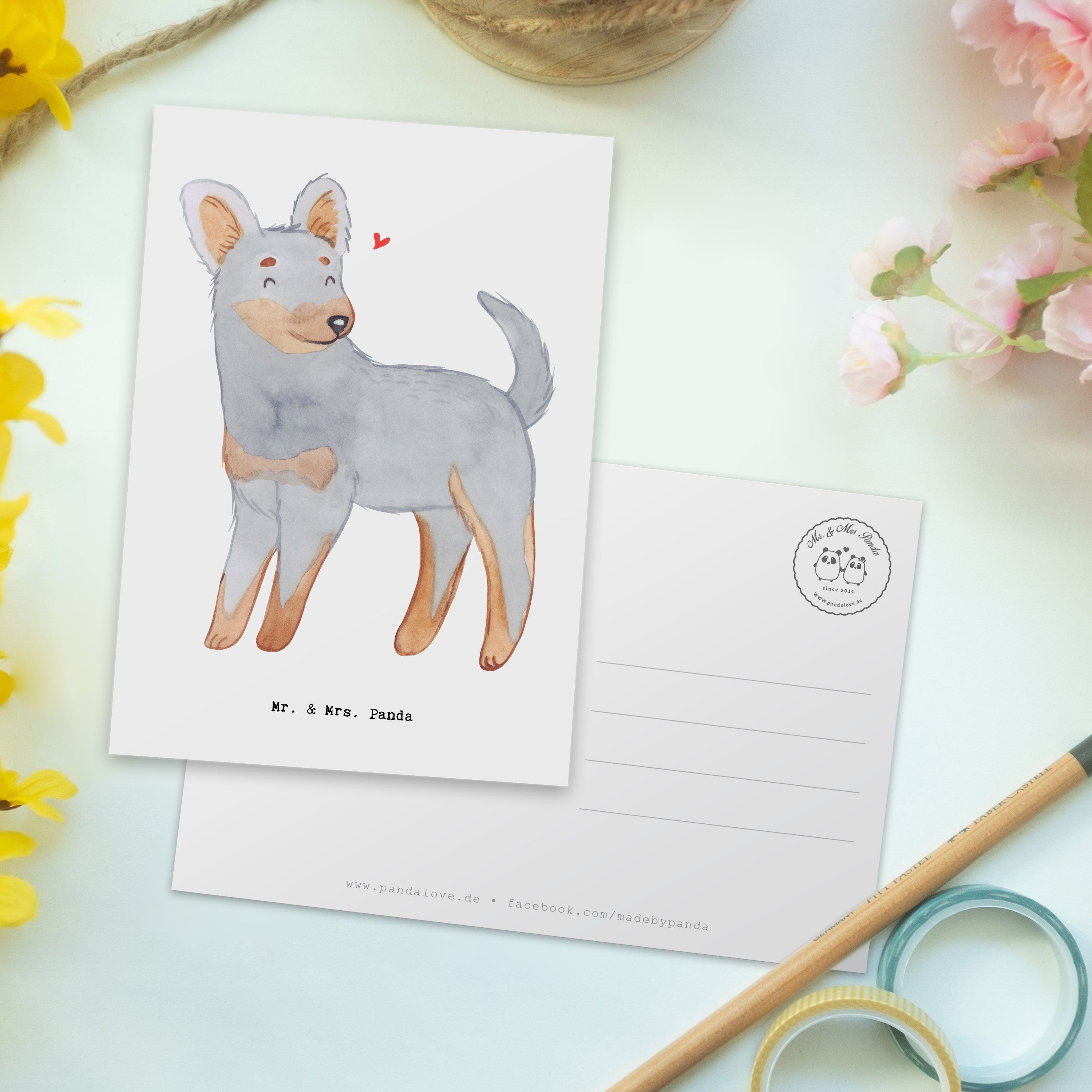 Mr. & Mrs. Panda Postkarte Einladung, Prager Moment - Hundebes Rattler Pincher, - Weiß Geschenk