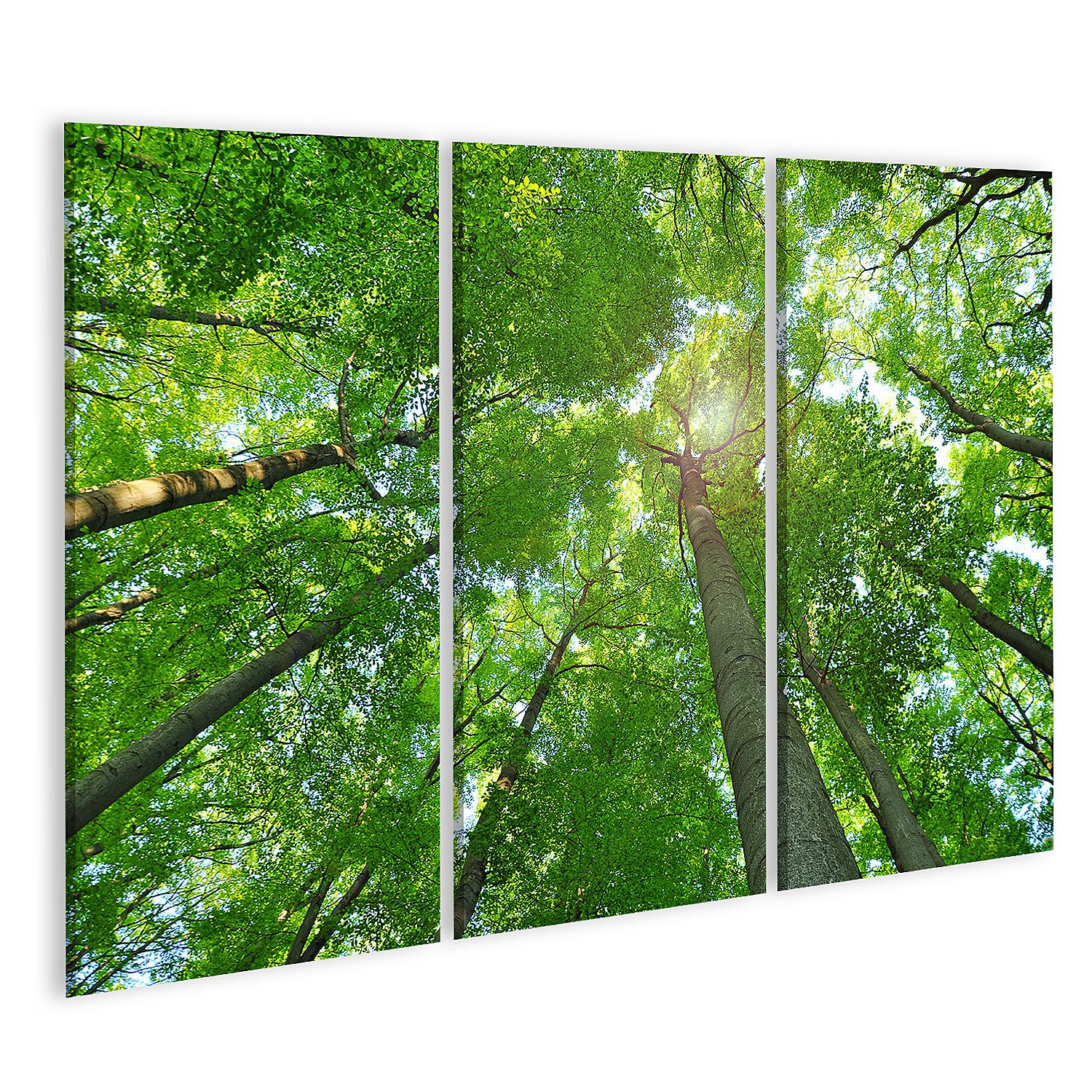 Leinwandbild