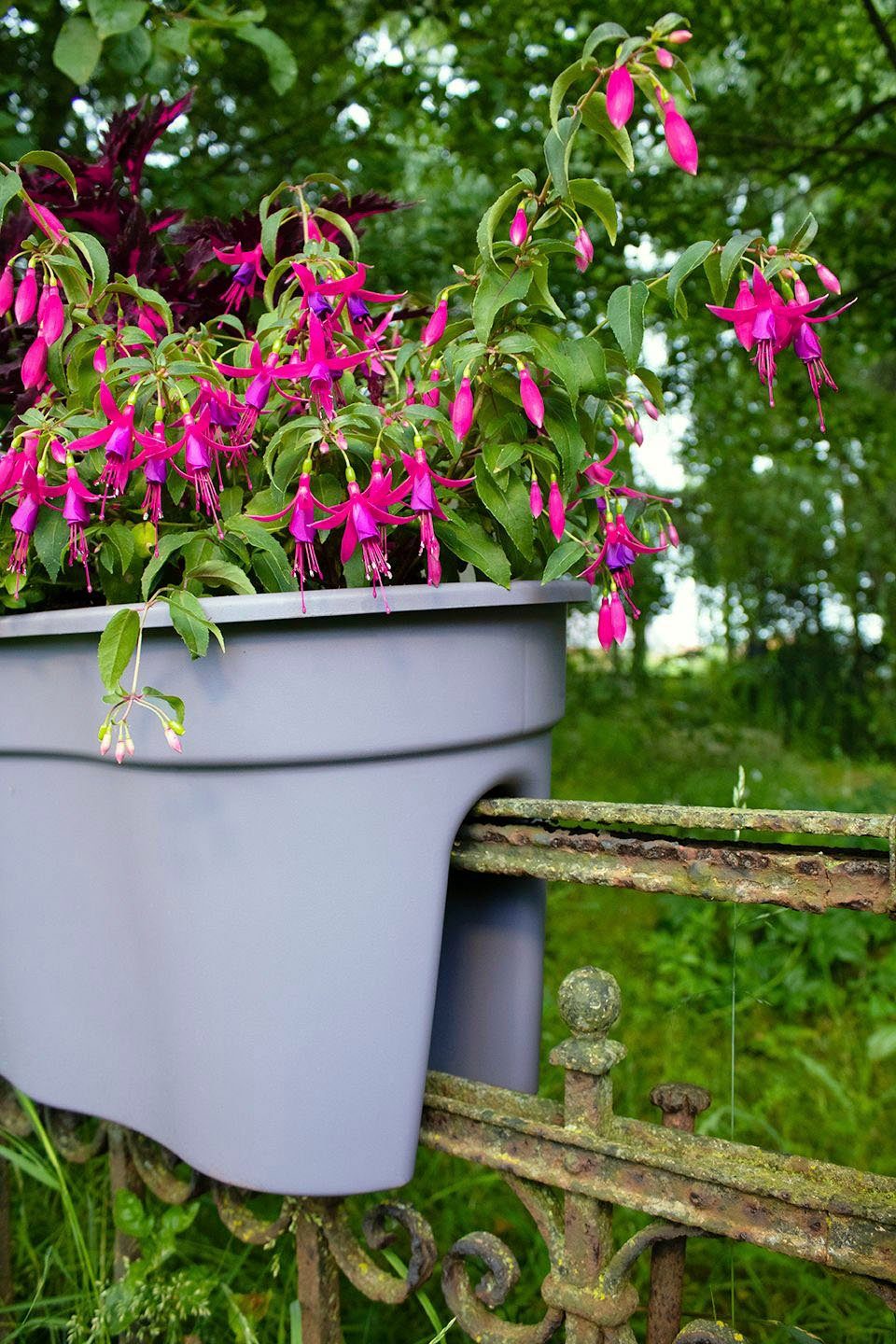 KHW Balkonkasten Flowerclip XXL (Set, 2 St), BxTxH: 57,5x27,7x27 cm