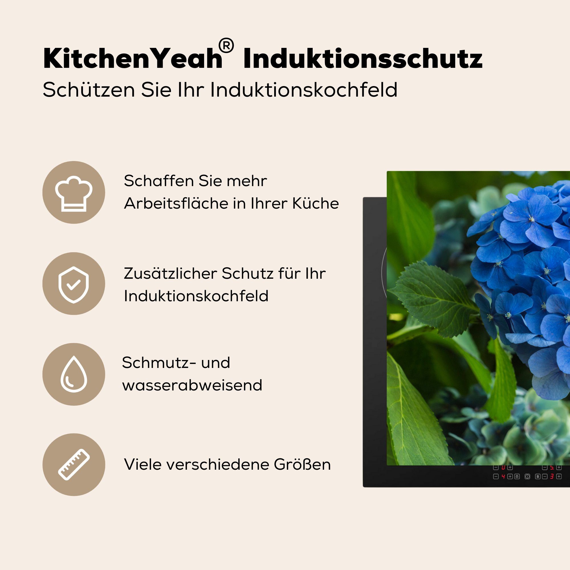 einem cm, MuchoWow die tlg), in Blaue Schutz Garten, 71x52 Induktionskochfeld für Vinyl, Hortensienblüte (1 Herdblende-/Abdeckplatte küche, Ceranfeldabdeckung