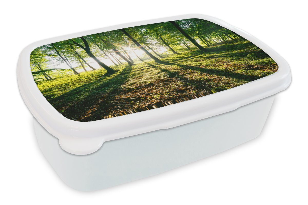 MuchoWow Lunchbox Die Sonne bricht durch die Wälder des Nationalparks Söderåsen in, Kunststoff, (2-tlg), Brotbox für Kinder und Erwachsene, Brotdose, für Jungs und Mädchen weiß