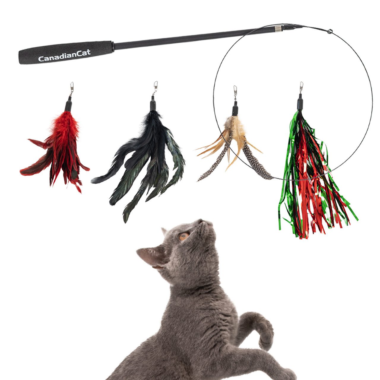Canadian Cat Company Tier-Intelligenzspielzeug Katzenangel Set mit 4 Federn günstig online kaufen
