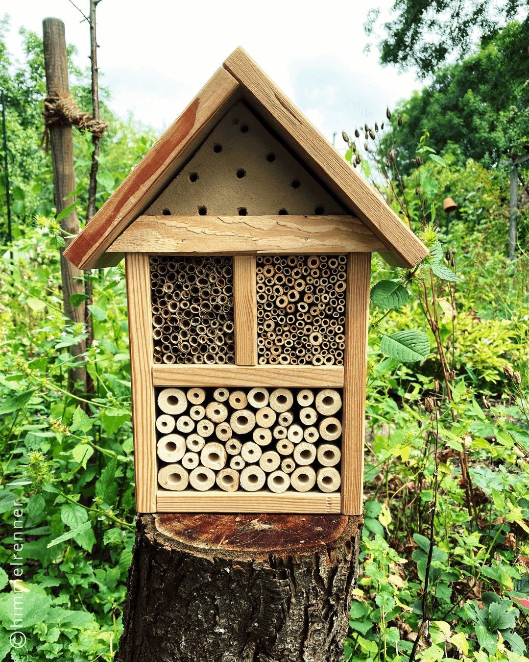 Höhe) cm Insektenhotel Aries (Tiefe 20 x Insektenhotel handgefertigt, Breite x x 10 38 x