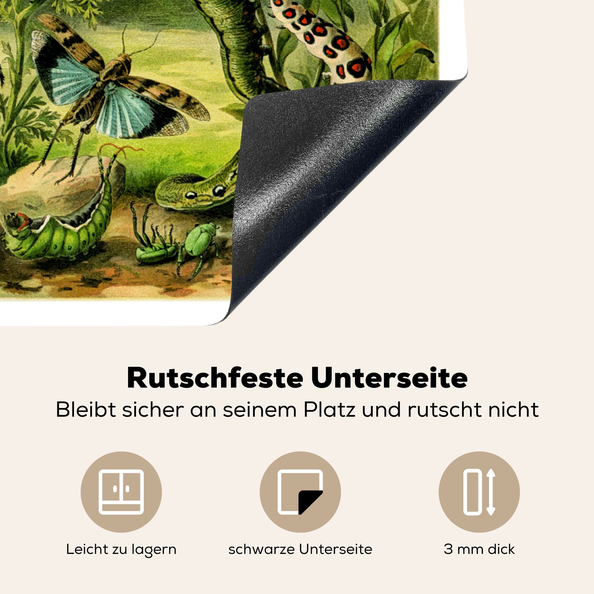 Schmetterlinge Illustration Botanische nutzbar, MuchoWow Ceranfeldabdeckung Raupen, Vinyl, Herdblende-/Abdeckplatte Arbeitsfläche und Mobile cm, 70x52 tlg), (1
