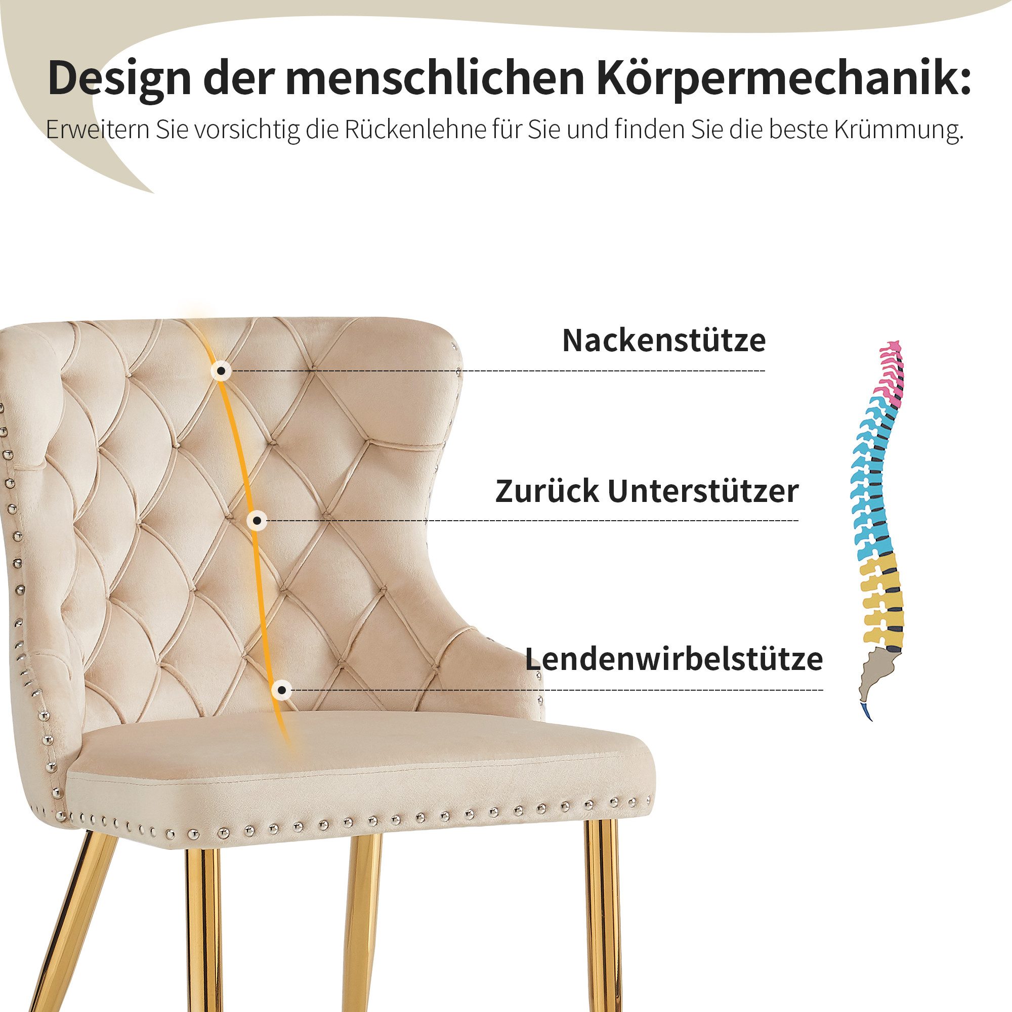 HAUSS SPOLE Esszimmerstuhl 2 St ergonomischer günstig online kaufen