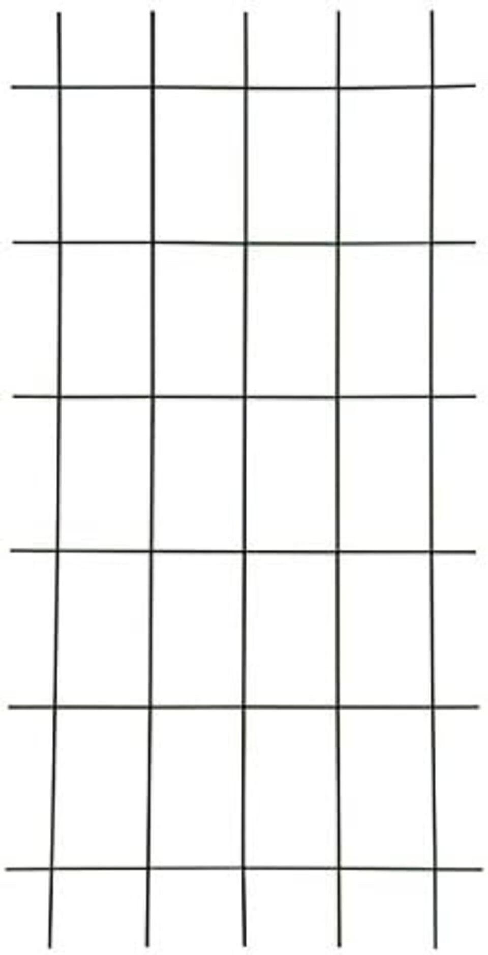 Testrut Spalier Gitterspalier 150 x 45 cm grün, 1 St.