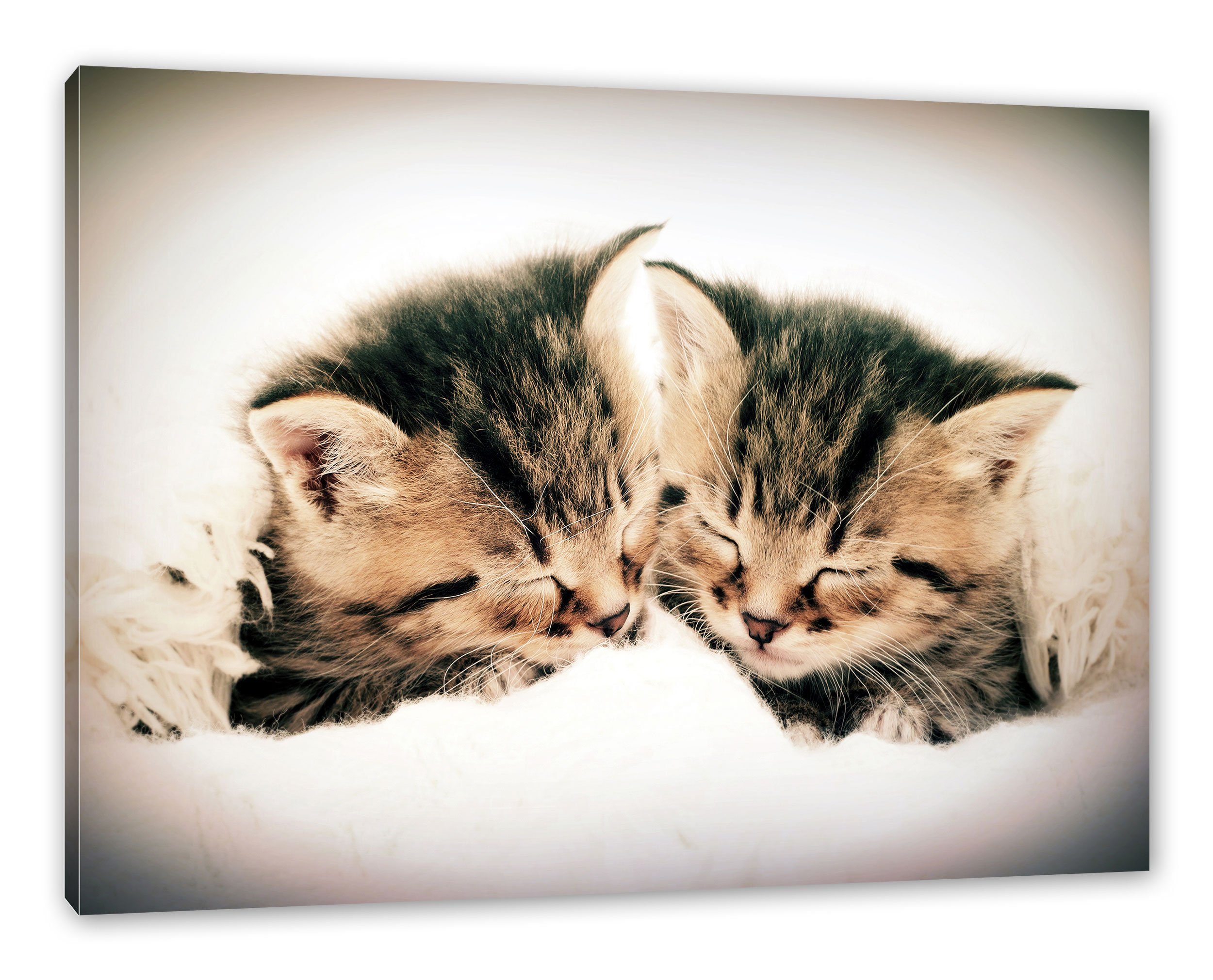 Pixxprint Leinwandbild Katzen Herzform, Katzen Herzform (1 St), Leinwandbild fertig bespannt, inkl. Zackenaufhänger