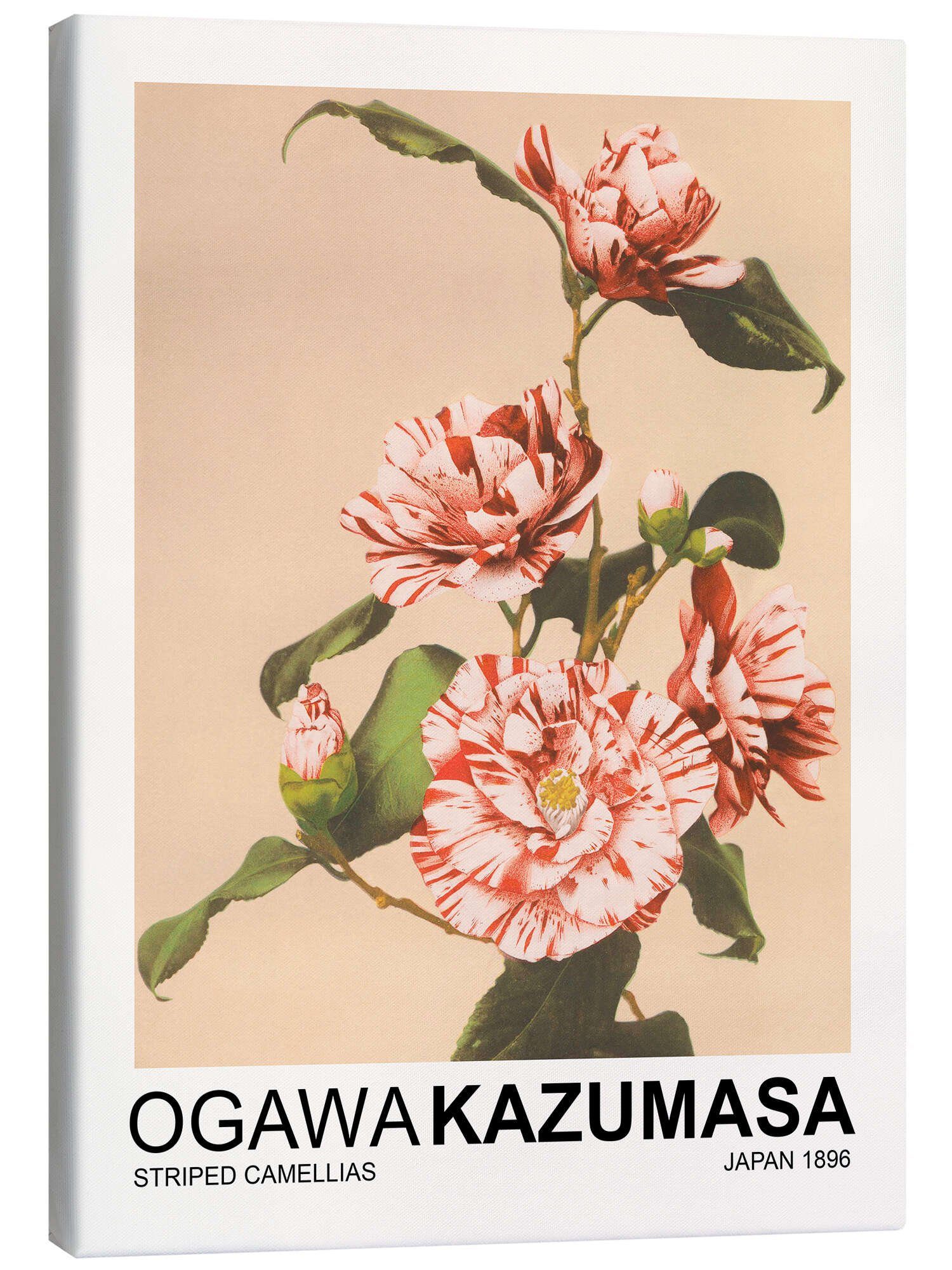 Leinwandbild Ogawa Kazumasa