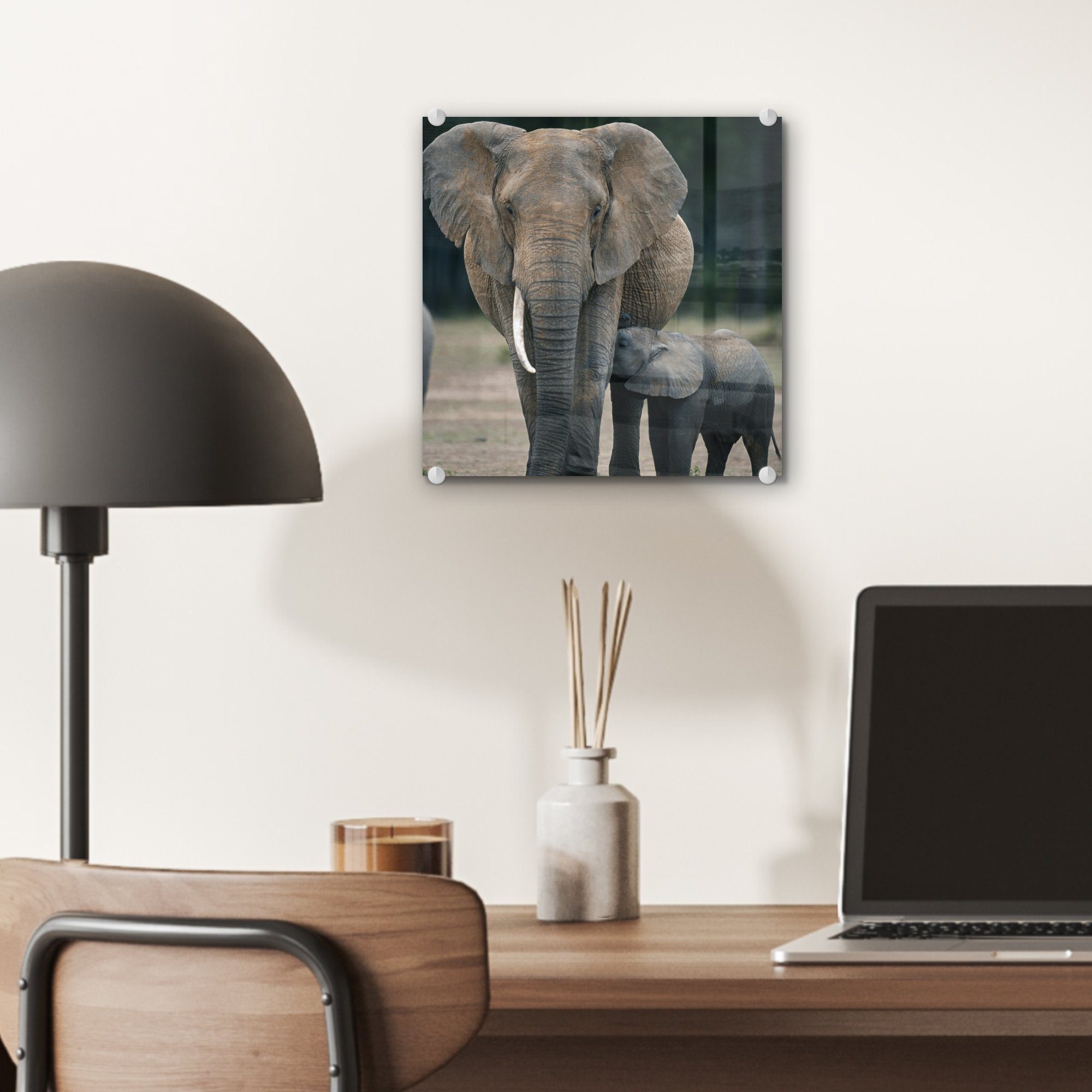 Foto - - MuchoWow auf - Flachland Tiere Elefant Glas St), Wandbild auf Glasbilder (1 Acrylglasbild Bilder - Wanddekoration Natur, Glas - -