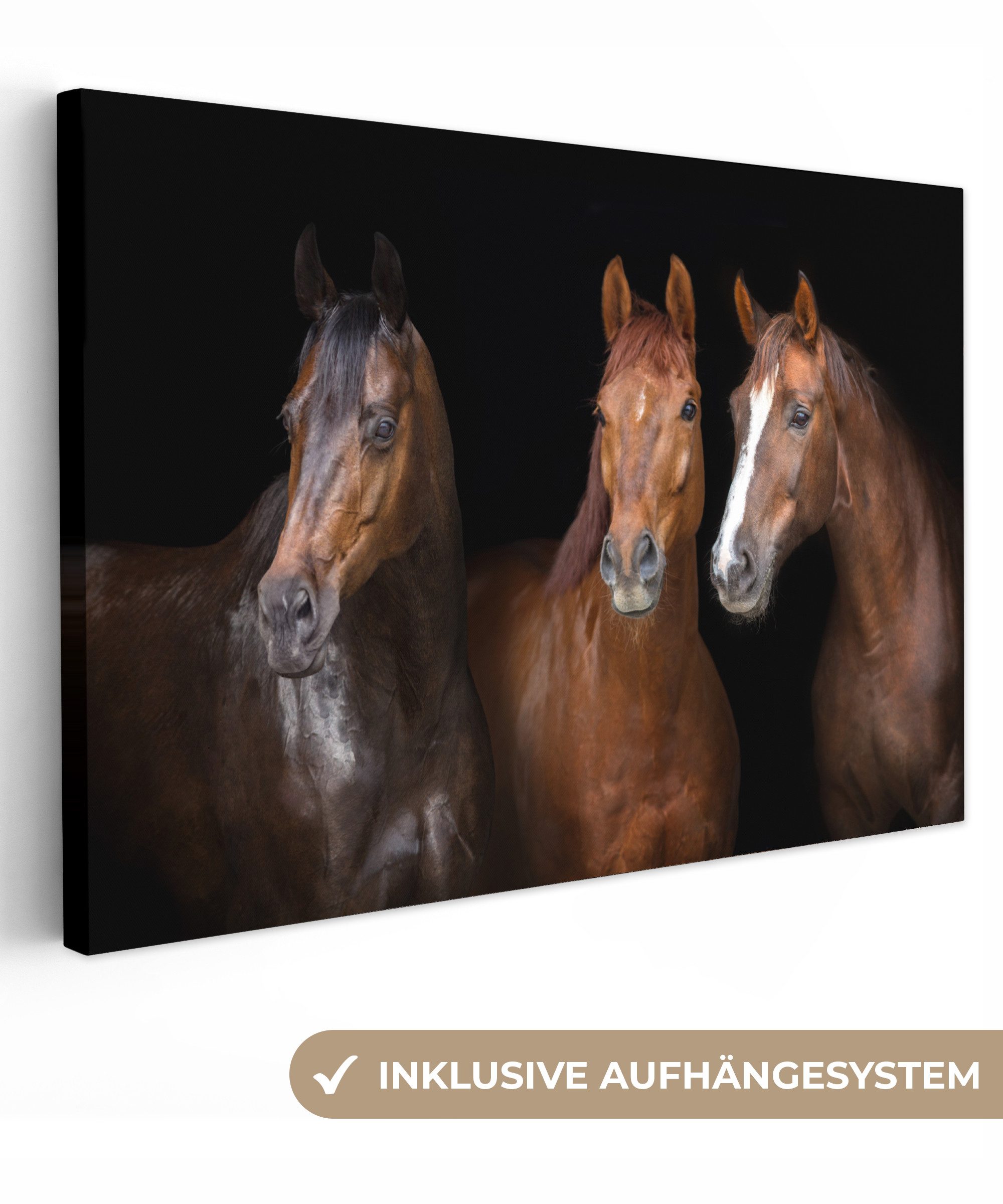 OneMillionCanvasses® Leinwandbild Pferde - Tiere - günstig online kaufen