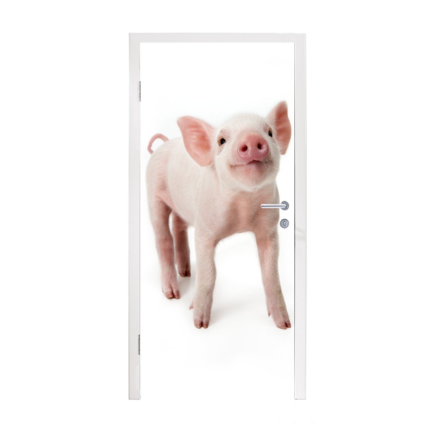 MuchoWow Türtapete Schwein - Tiere - Weiß, Matt, bedruckt, (1 St), Fototapete für Tür, Türaufkleber, 75x205 cm