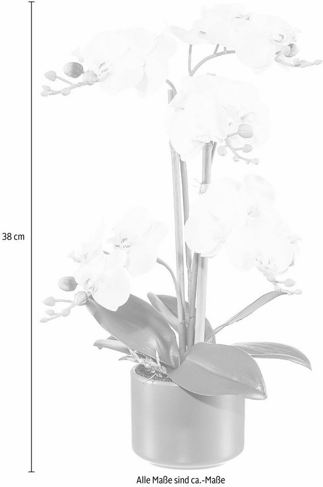 Kunstpflanze Orchidee, Creativ green, Höhe 38 cm