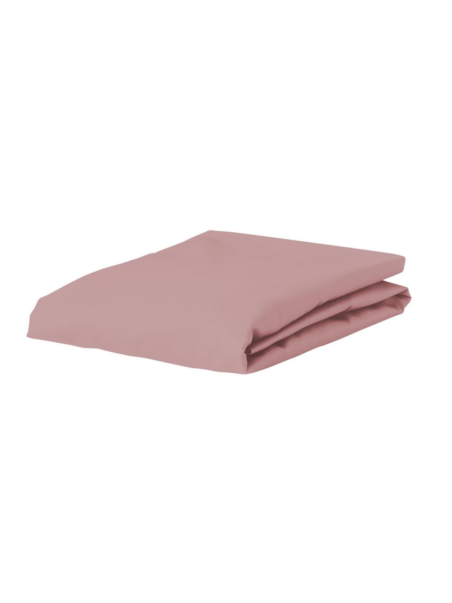 Essenza Spannbettlaken Premium Percale, Perkal, Gummizug: günstig online kaufen