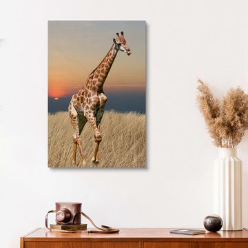 Posterlounge Holzbild Editors Choice, Giraffe - Afrikas Wildnis, Fotografie