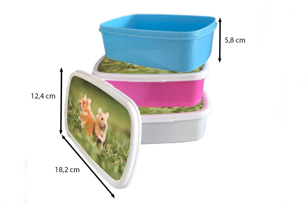 MuchoWow Lunchbox Brotdose, für und Jungs Goldhamster, Erwachsene, Mädchen Kinder (2-tlg), und Kunststoff, für weiß Brotbox