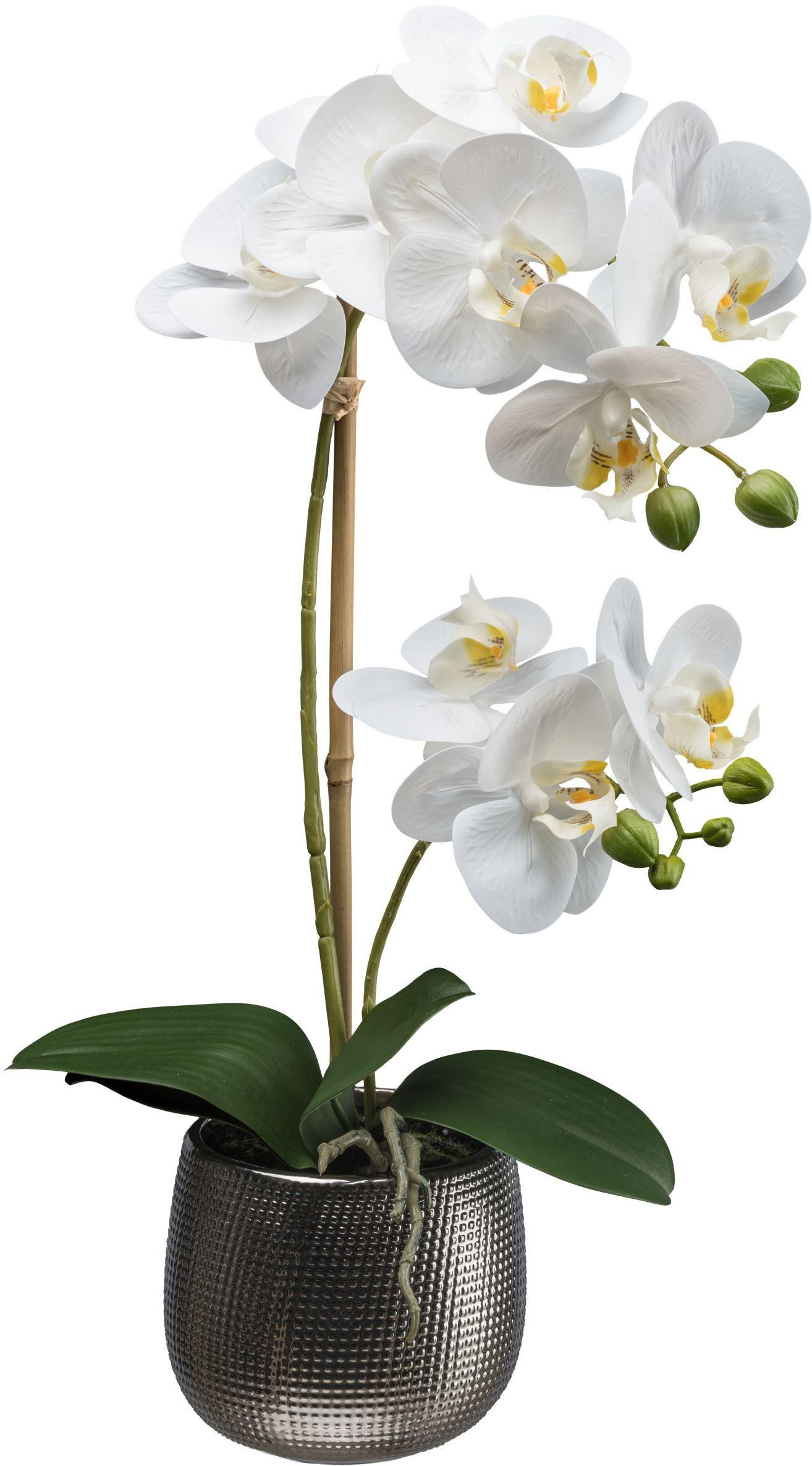 Kunstorchidee Orchidee Phalaenopsis, Creativ green, Höhe 48 cm, mit real-to günstig online kaufen