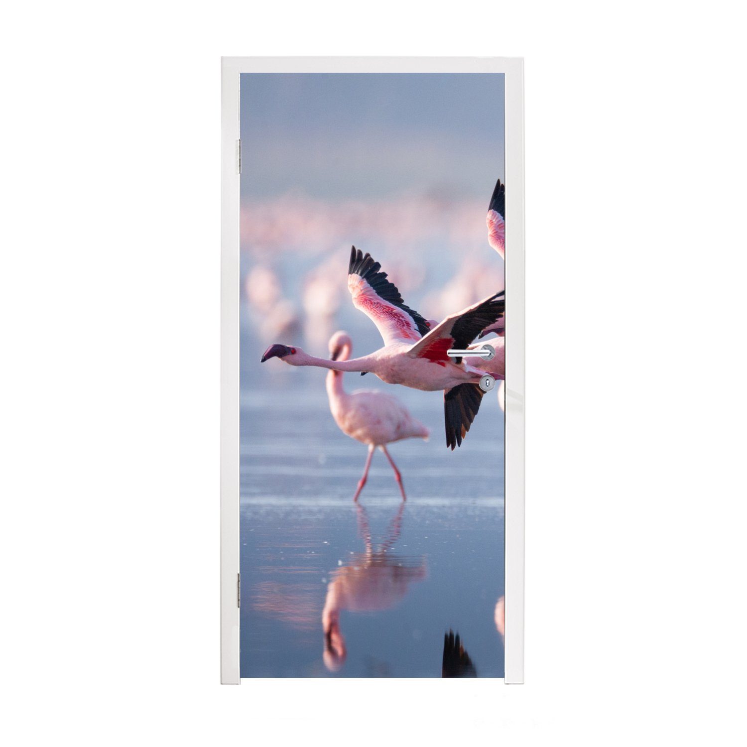 MuchoWow Türtapete Flamingo - Vogel - Wasser - Rosa, Matt, bedruckt, (1 St), Fototapete für Tür, Türaufkleber, 75x205 cm