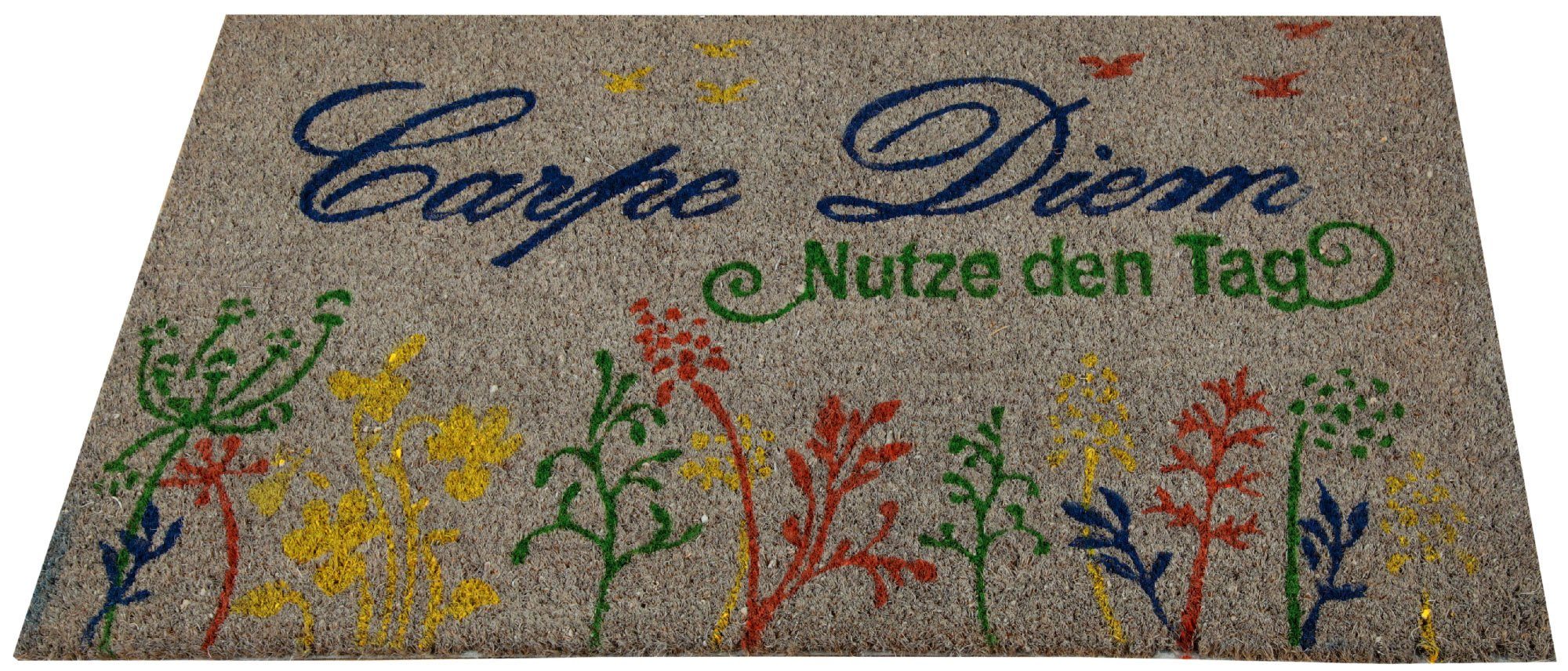 Bestlivings Fußmatte Kokos Fußabtreter, Rechteckig, Schmutzfangmatte günstig online kaufen