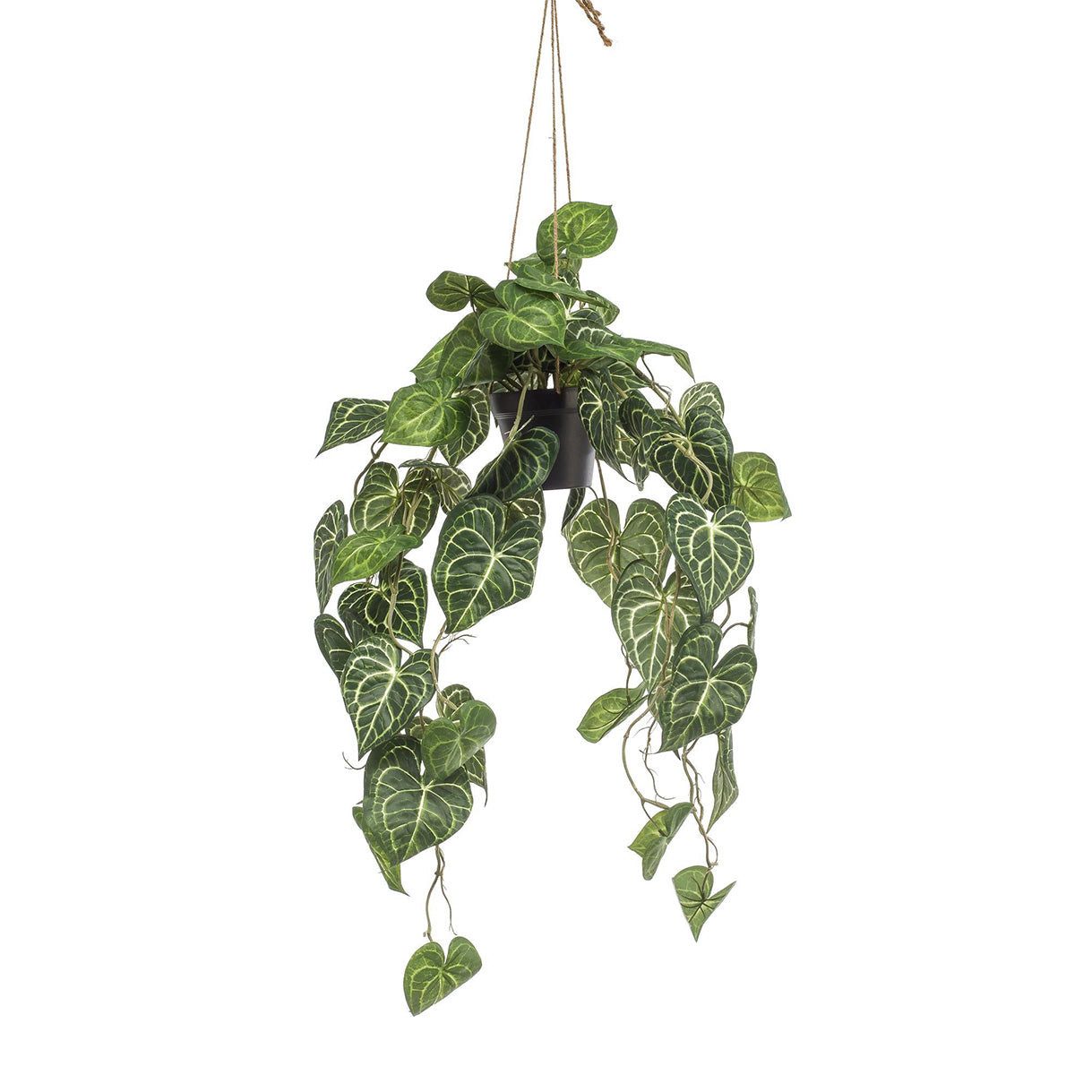 Kunstpflanze Künstliche Pflanze Anthurium Clarinervium – 80 cm Anthurie, Florora, Höhe 80 cm, naturgetreue Pflanzenoptik