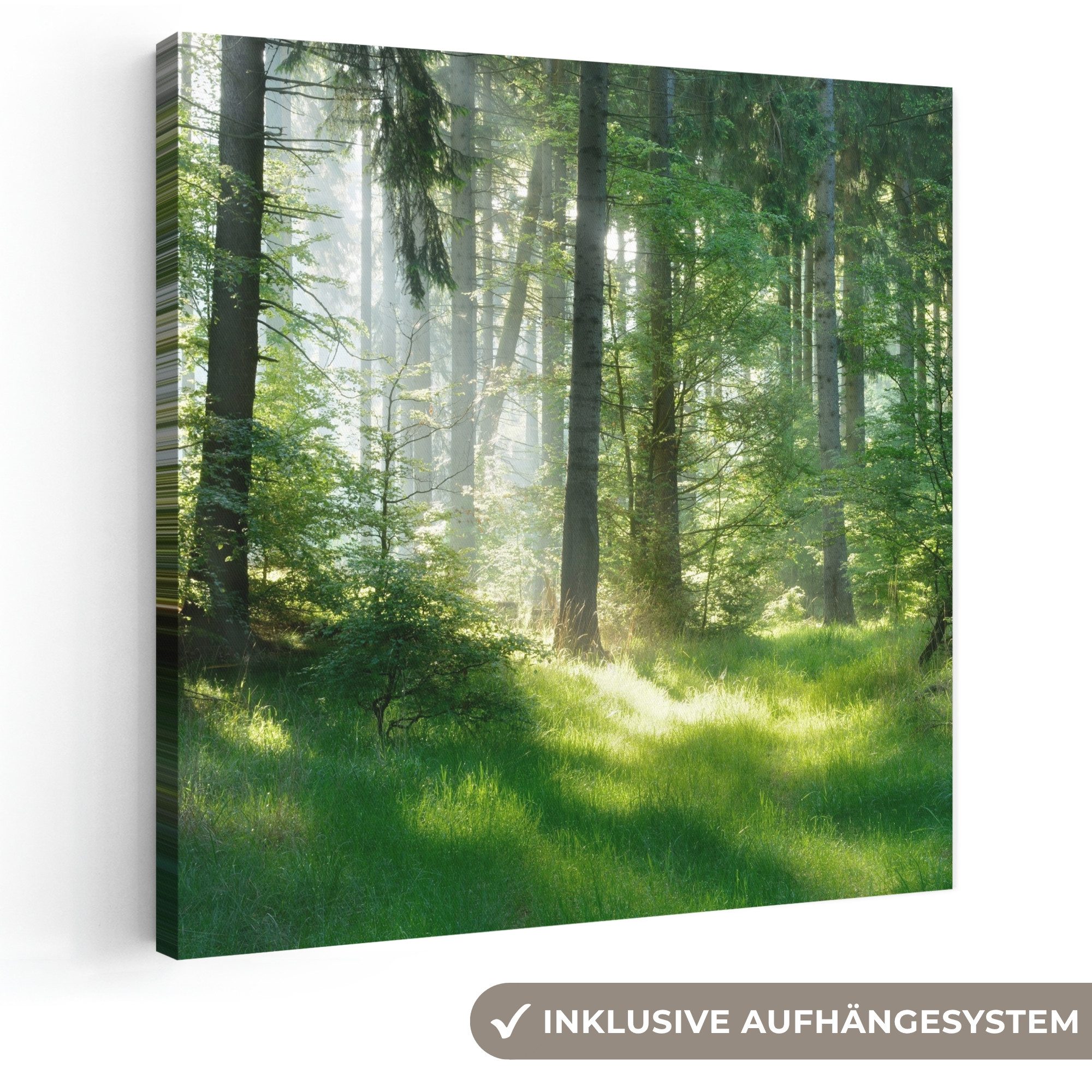 OneMillionCanvasses® Leinwandbild Natur - Bäume - Wald - Grün - Sonne - Gras - Pflanzen, Fotodruck (1 St), Wandbild, Deko Schlafzimmer Wohnzimmer Flur 20x20 cm