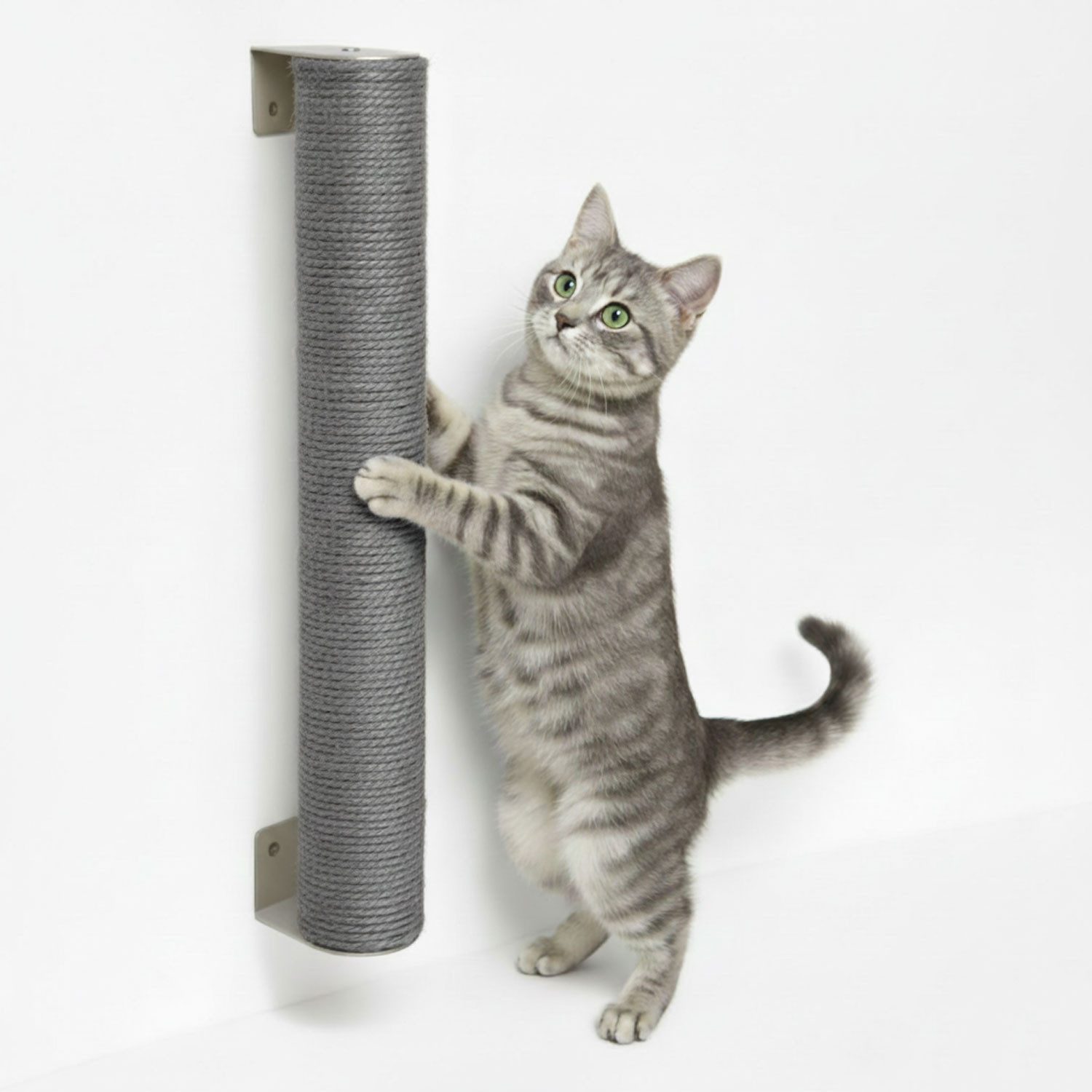 eyepower Kratzbaum zur Wandmontage - 60 cm Wandkratzbaum für Katzen - Sisal Kratzstamm, Sisalstamm Wand - Katzenkratzbaum platzsparend - Kletterwand Katze
