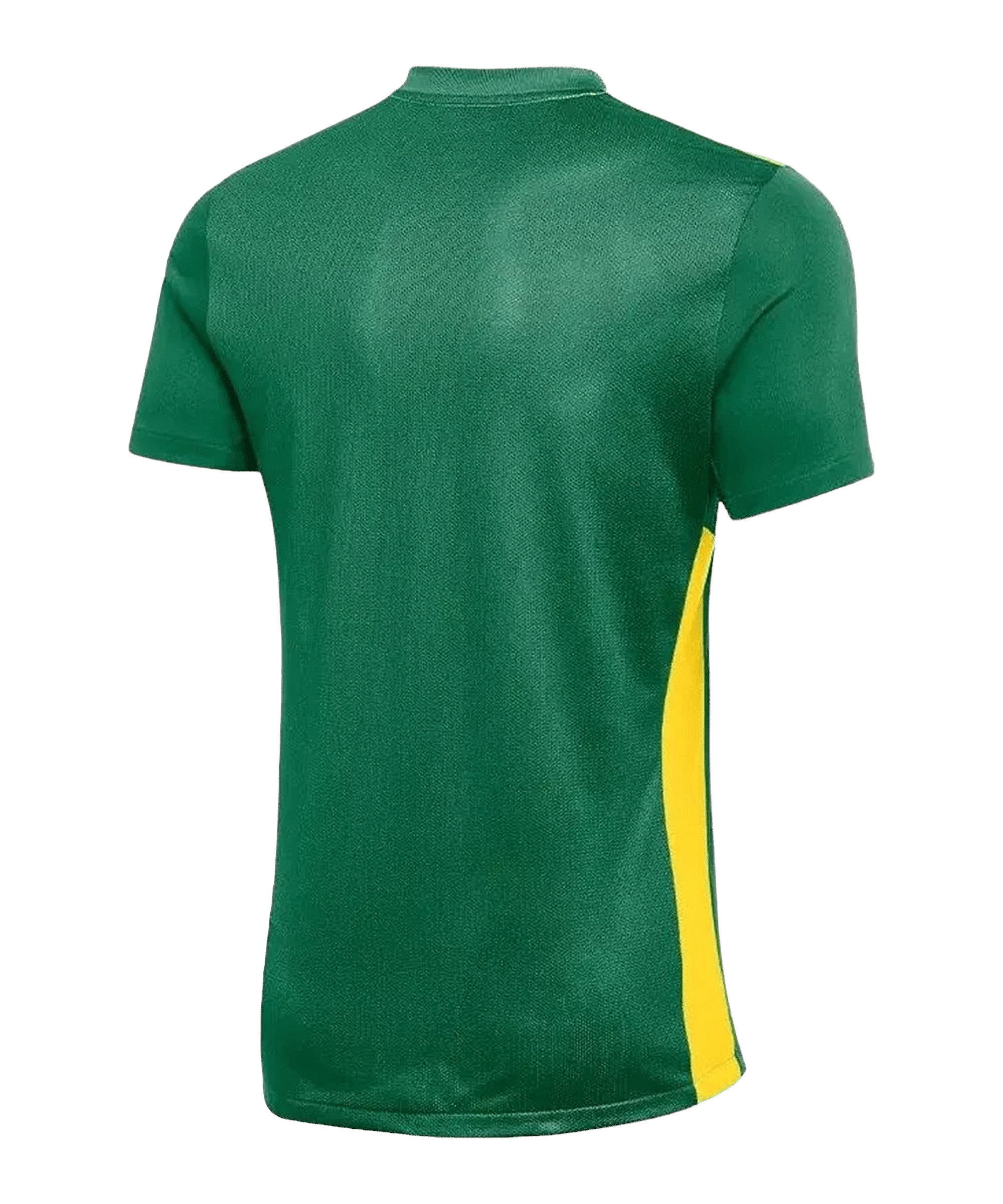 Nike Fußballtrikot Nike Performance Park Derby IV Trikot Kids Teamsport – Bild 2 von 2