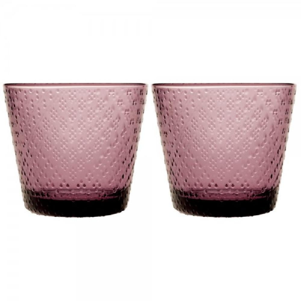 IITTALA Leerglas Trinkgläser Tundra Calluna (Groß) (2-teilig)