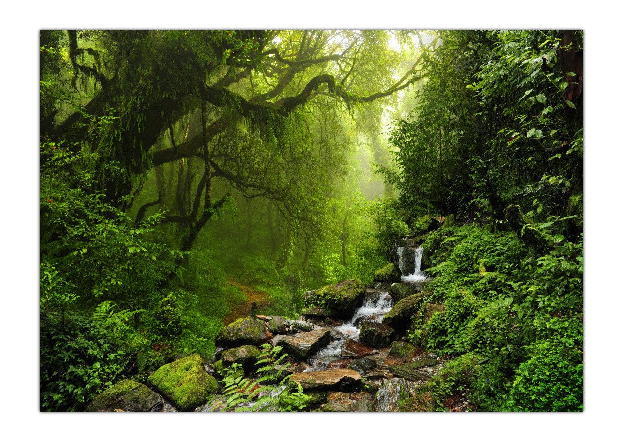 LYSCO Poster XXL Plakat Wald, Grüner Dschungel Urwald mit Bachlauf über Steine fließendes Wasser grüne Bäume (S-832) (100 x 70 cm DIN B1), Wandbild, Wandposter (Lieferung gerollt)