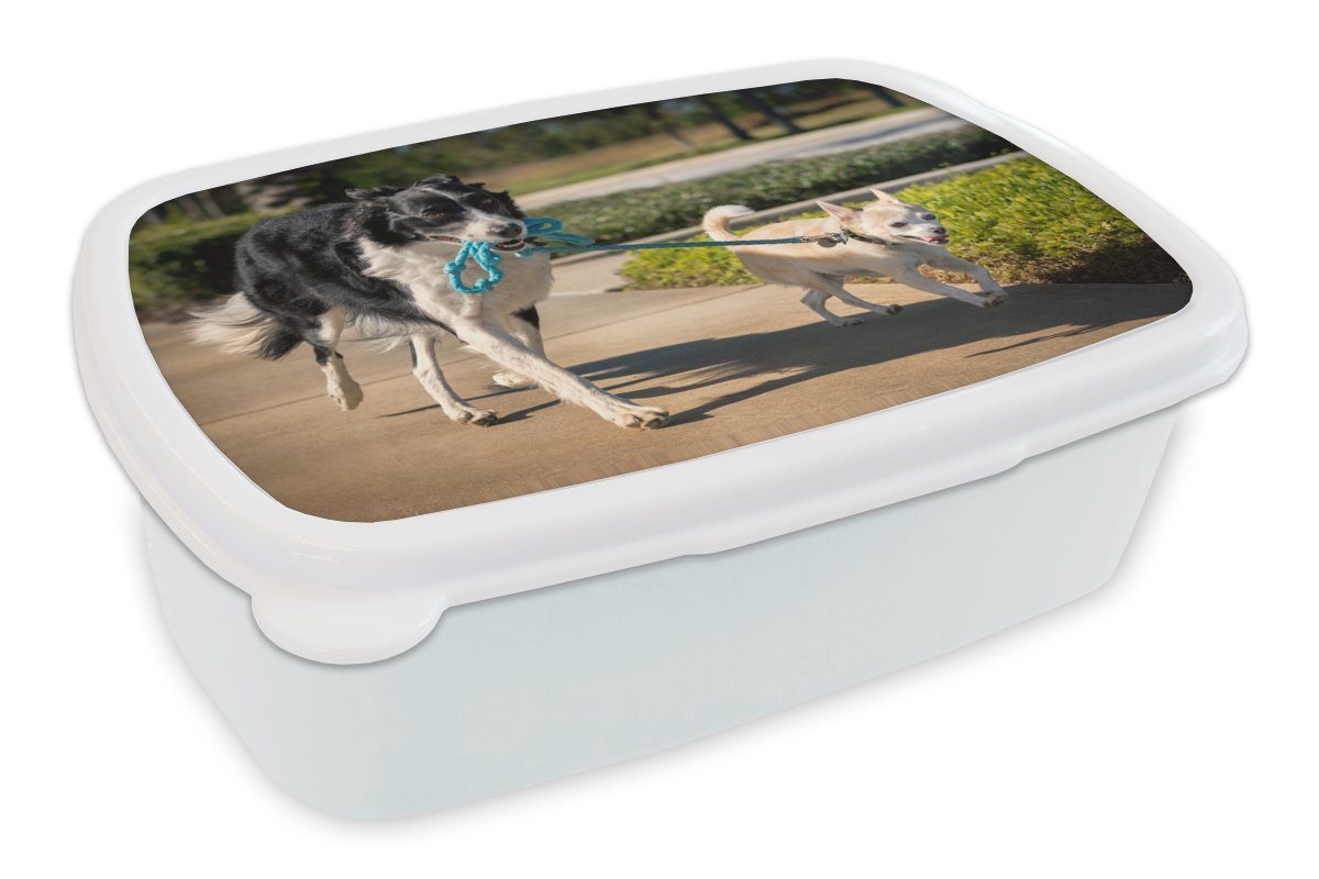 MuchoWow Lunchbox Hund - Seil - Park, Kunststoff, (2-tlg), Brotbox für Kinder und Erwachsene, Brotdose, für Jungs und Mädchen weiß