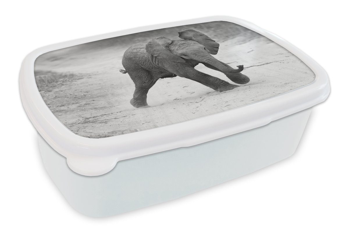 MuchoWow Lunchbox Elefant - Baby - Tiere - Kröte - Schwarz und weiß, Kunststoff, (2-tlg), Brotbox für Kinder und Erwachsene, Brotdose, für Jungs und Mädchen