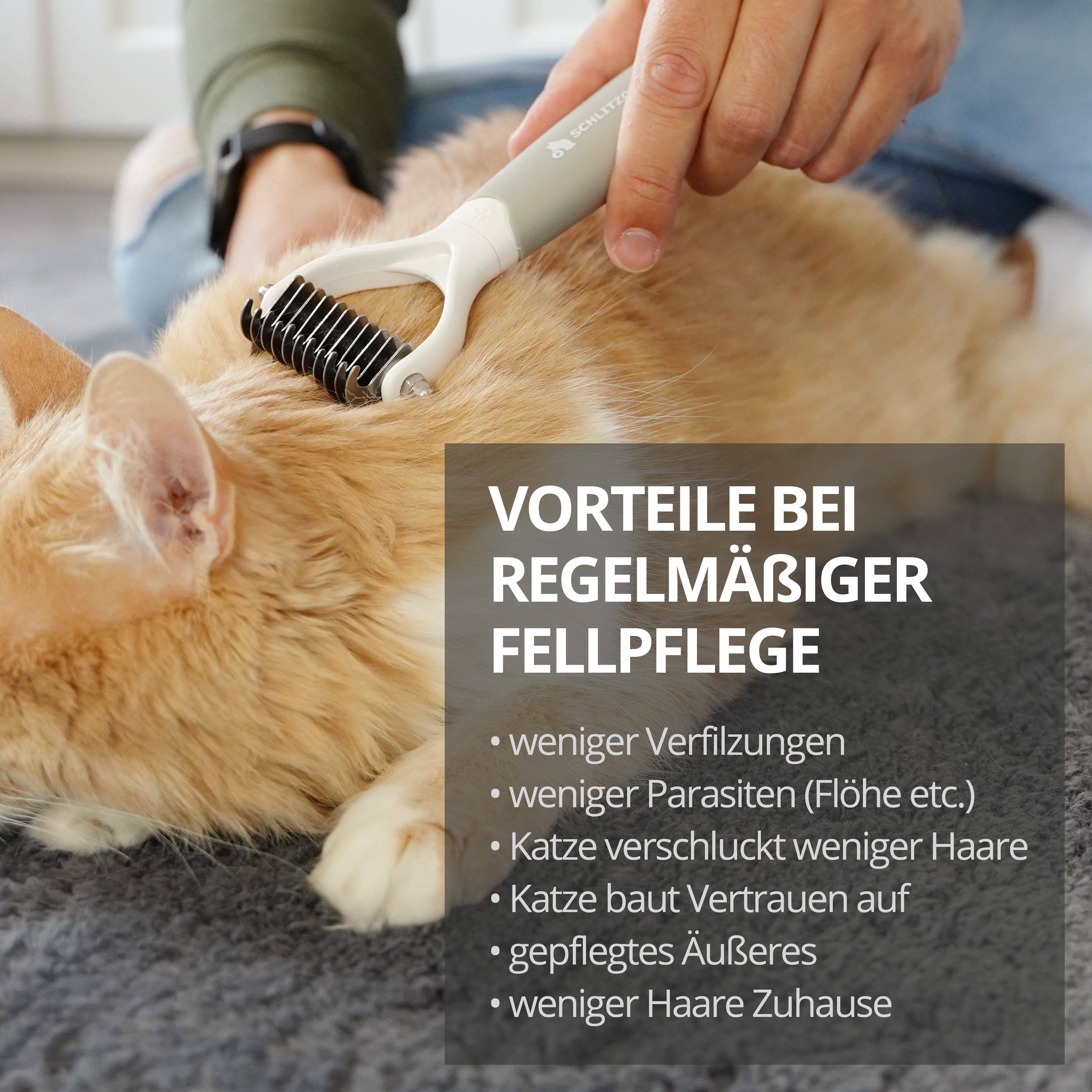 und Katzen Pferde SCHLITZOHR mittellangem Fell Fellbürste mit Cookie, Edelstahl, Für Hunde, langem bis Unterfellbürste