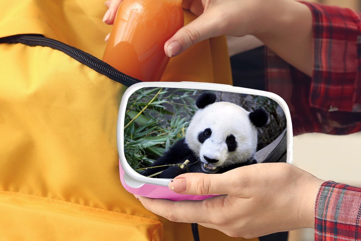 - Kunststoff Erwachsene, Tier für Blätter, - Brotbox Mädchen, Lunchbox MuchoWow (2-tlg), Kinder, Brotdose Snackbox, rosa Kunststoff, Panda