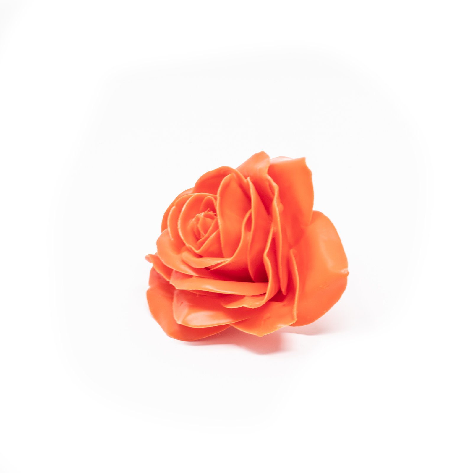 Trockenblume 10er-Set Wachsrose - Orange, 20 Primera, Höhe cm