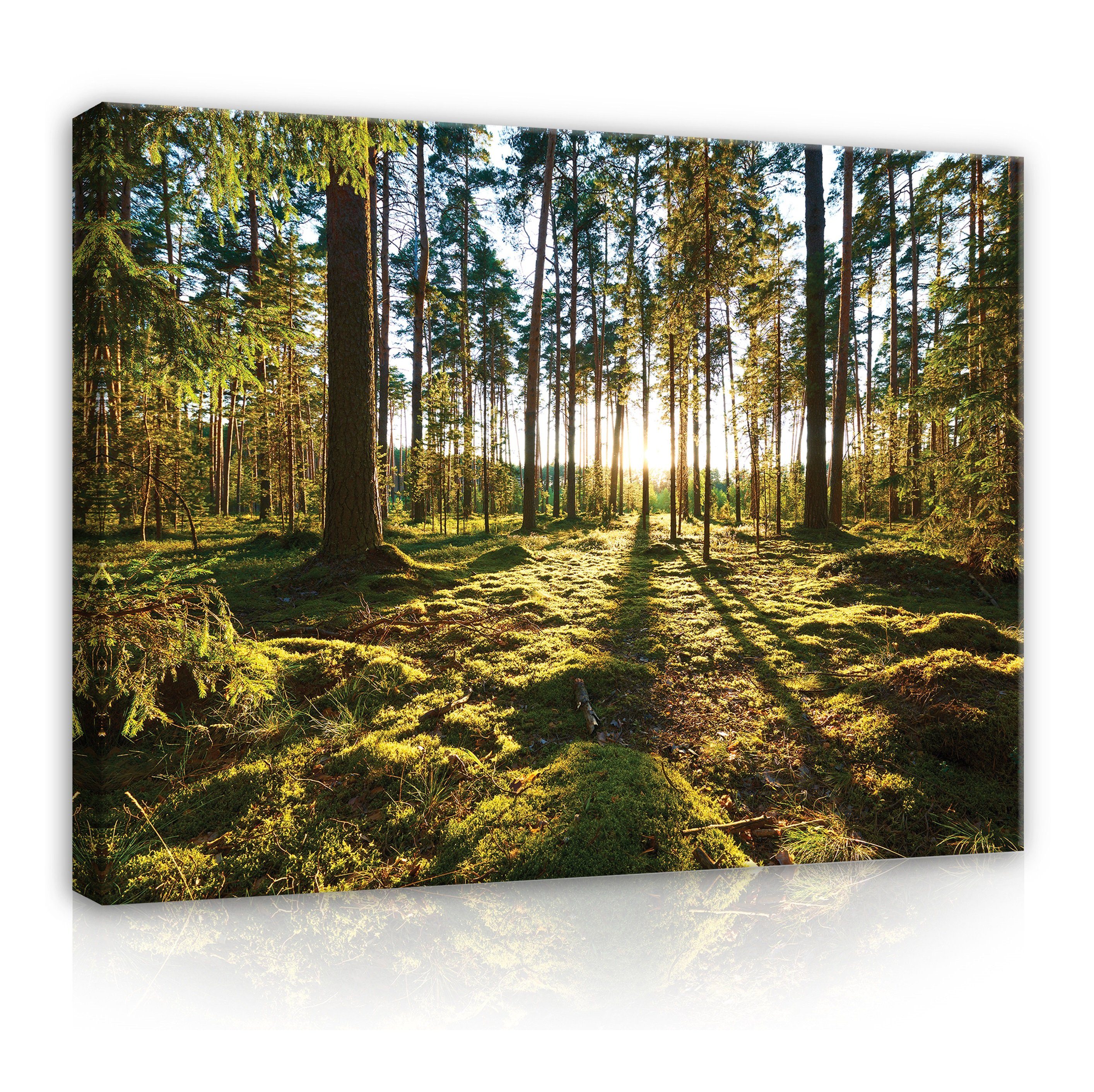 Wallarena Natur Wandbild Modern, Landschaft XXL Sonne Aufhängefertig Wald Leinwandbilder Sonnenwald (Einteilig), Leinwandbild