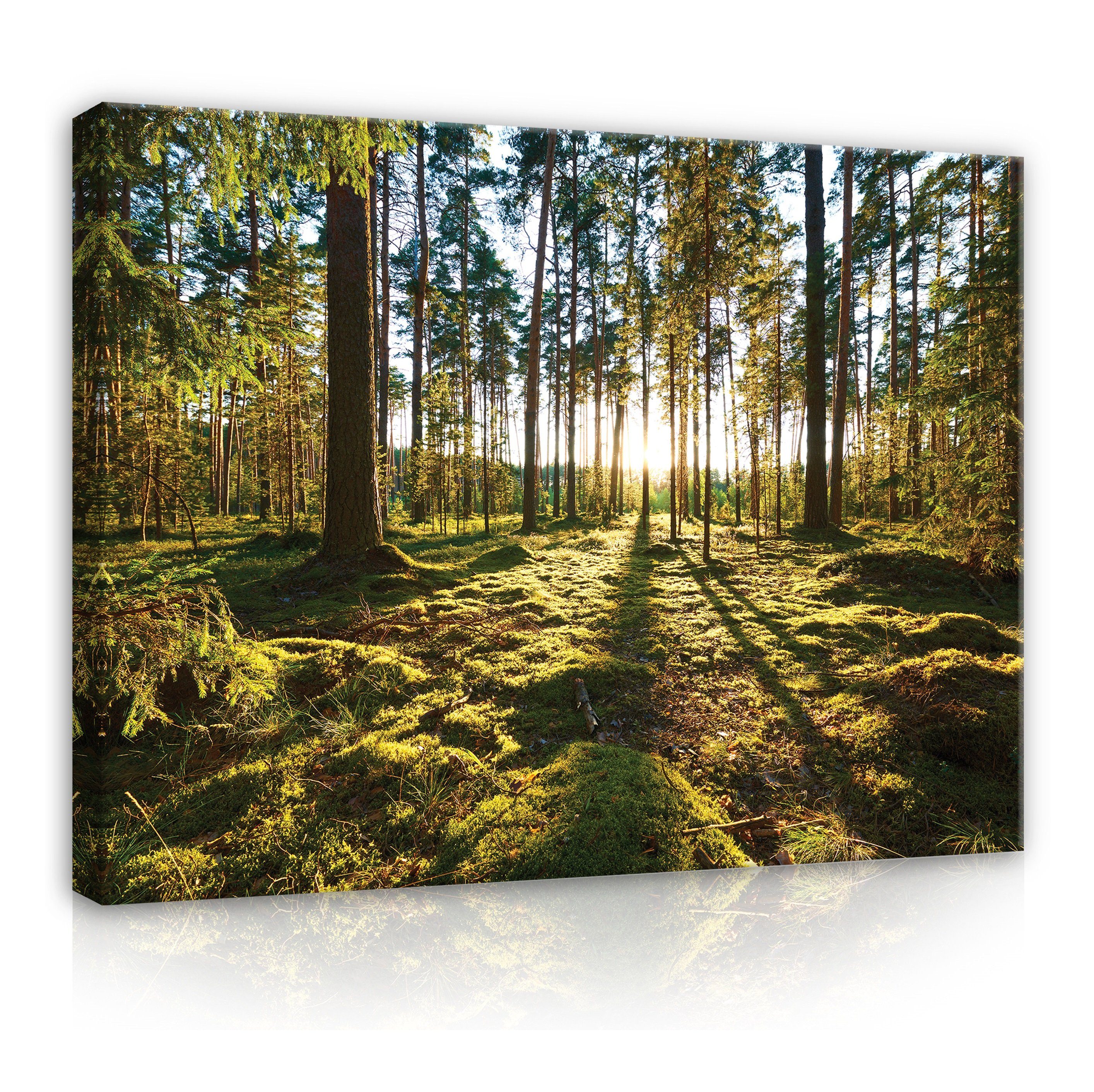 Wallarena Leinwandbild Wald Bäume - Grün - Modern - Schlafzimmer, Wald, 100x75x3cm