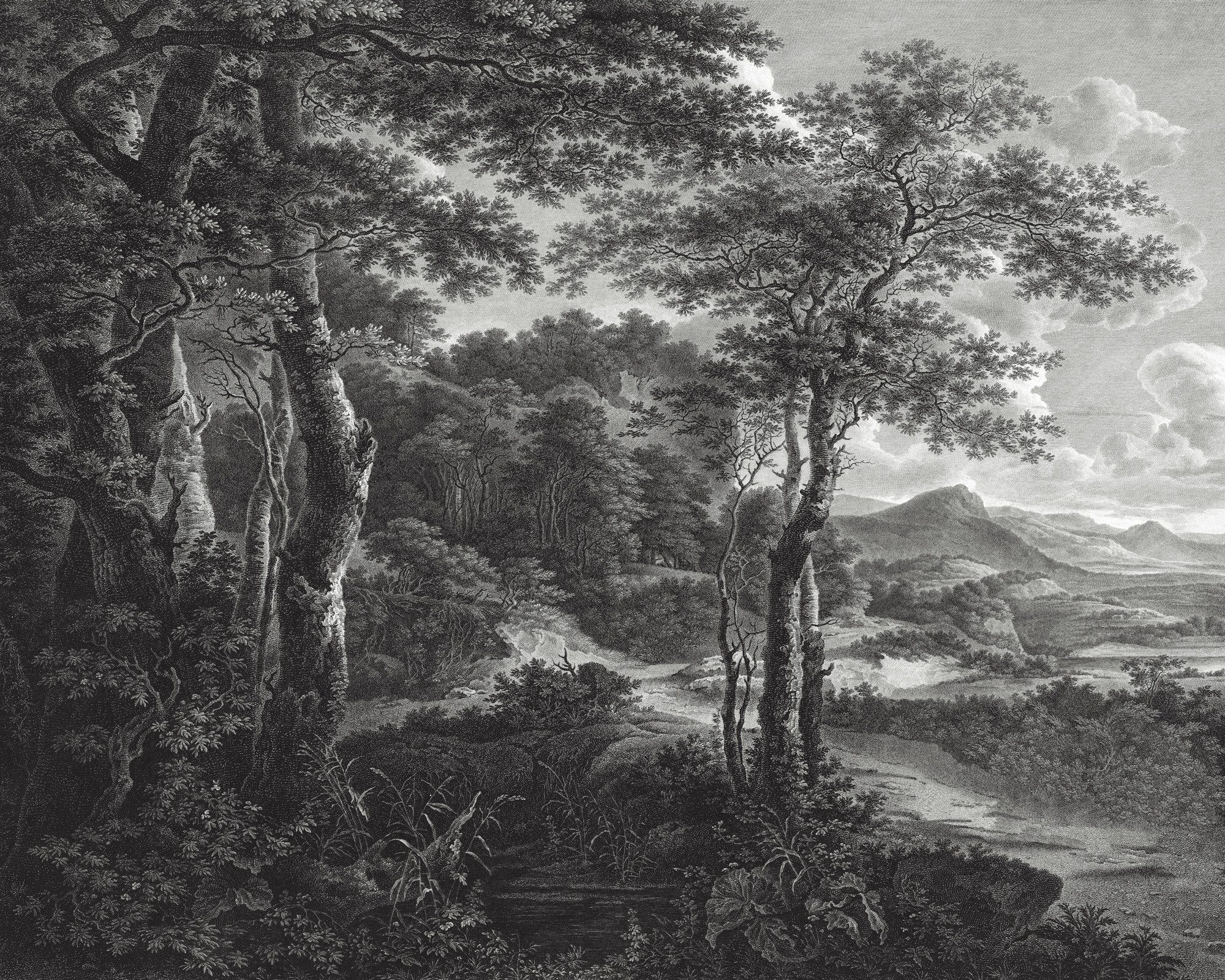 Rasch Fototapete Landschaft Bäume & Wald - Vliestapete Bunt, bedruckt, (1 Rolle, 1 St., 3 m x 3,75 m), Lichtbeständige Farben - Feucht abwischbar - Restlost abziehbar