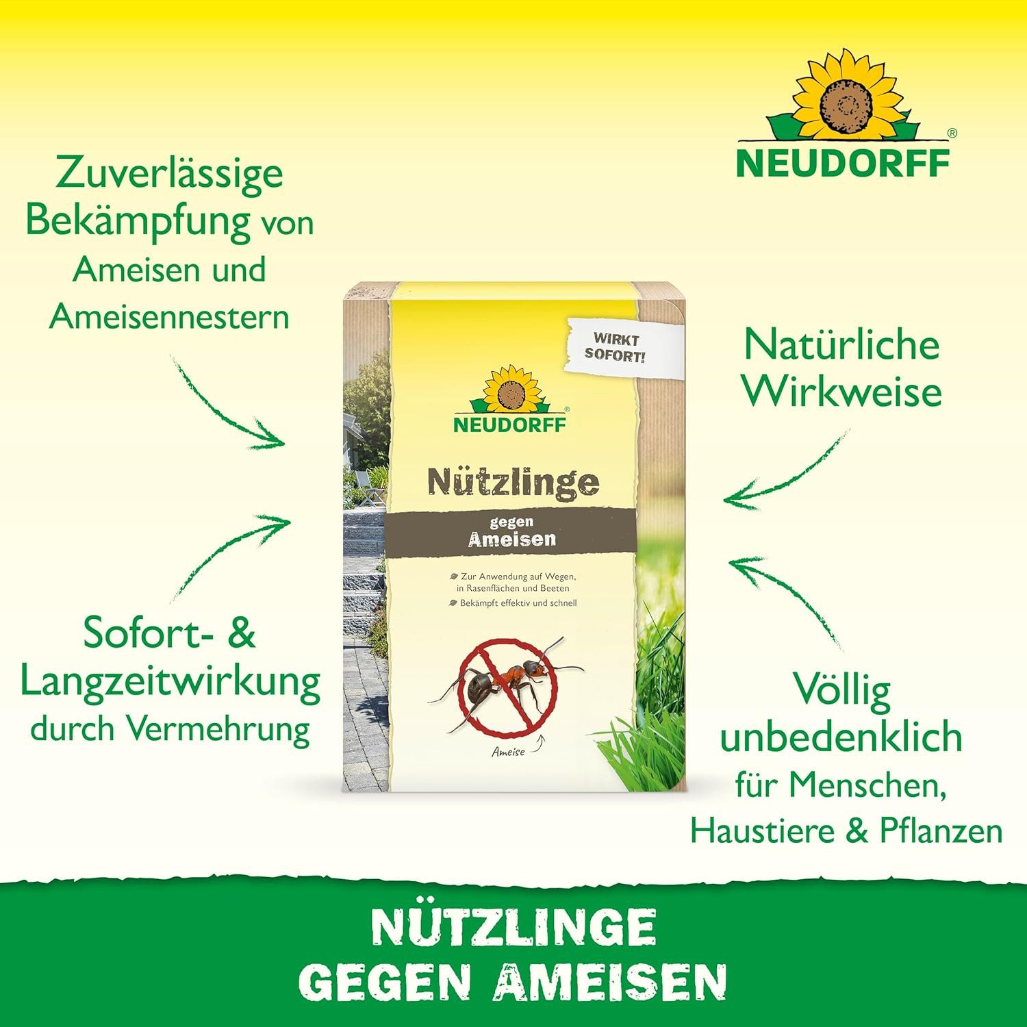 Neudorff Nematoden Nützlinge gegen Ameisen SF-Nematoden, Biologische Ameisenbekämpfung, frei von chemischen Insektiziden