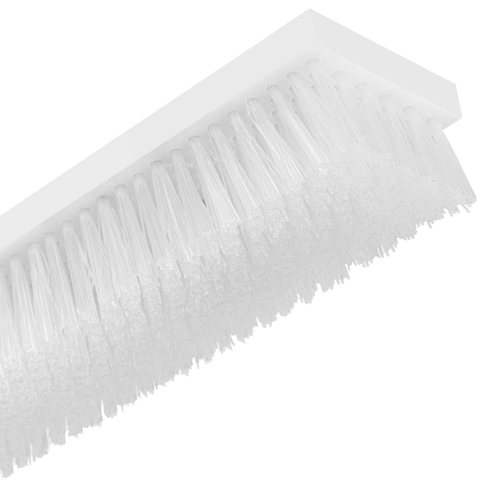 Wiesenfield Pferdebürste Kuhbürste 2 Köpfe zu je 50 x 10 cm mit Feder Viehbürste Rinderbürste
